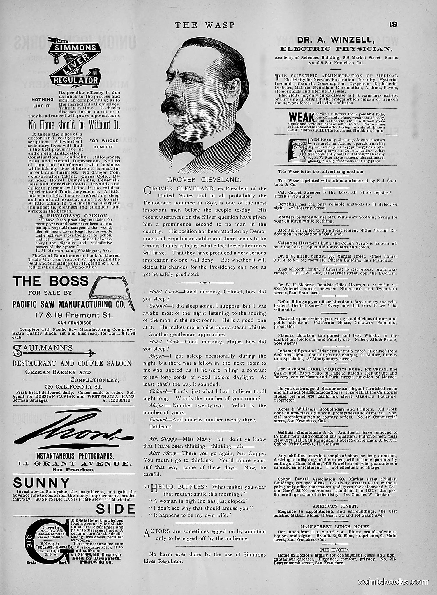 The Wasp — 1891 — page 534 of 612