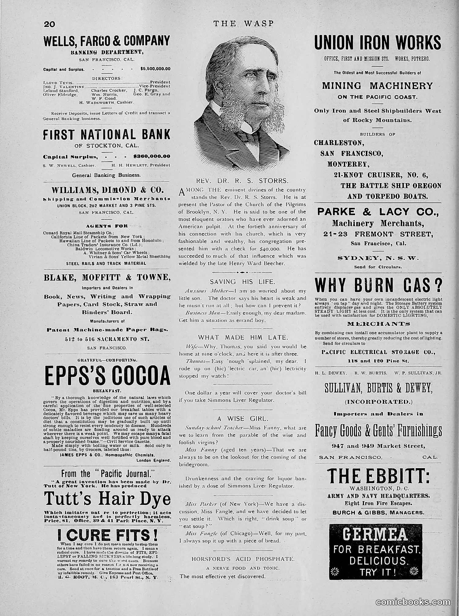 The Wasp — 1891 — page 535 of 612