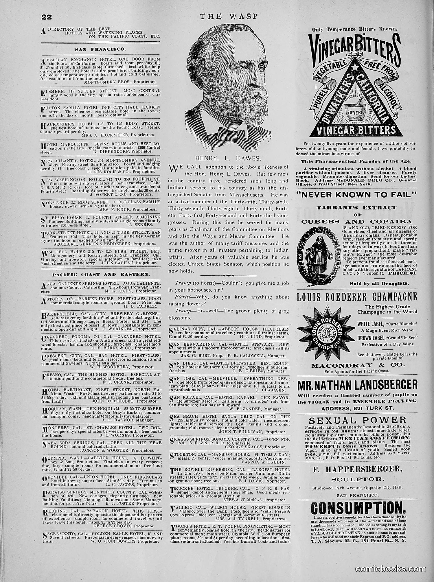 The Wasp — 1891 — page 537 of 612
