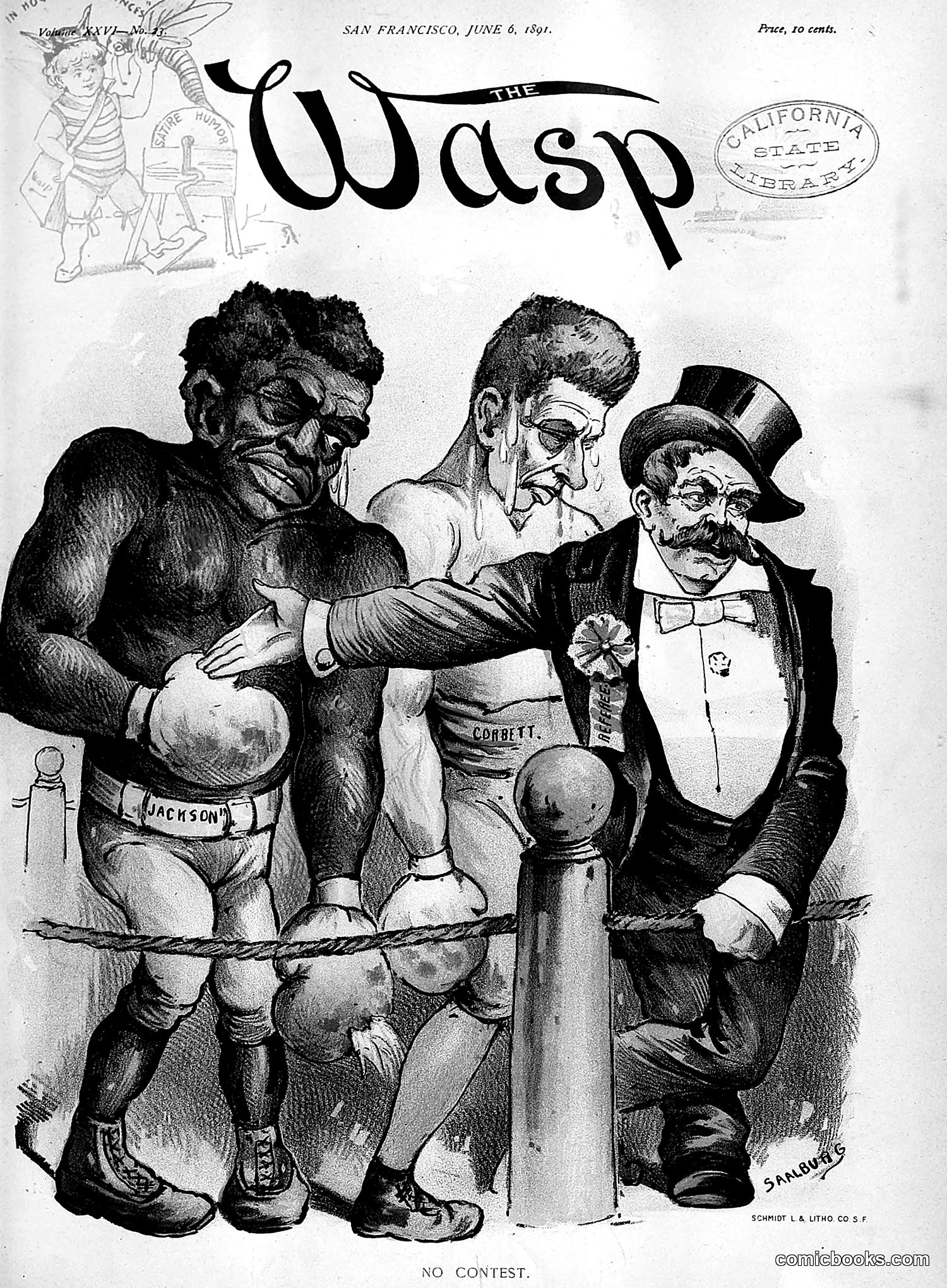 The Wasp — 1891 — page 540 of 612
