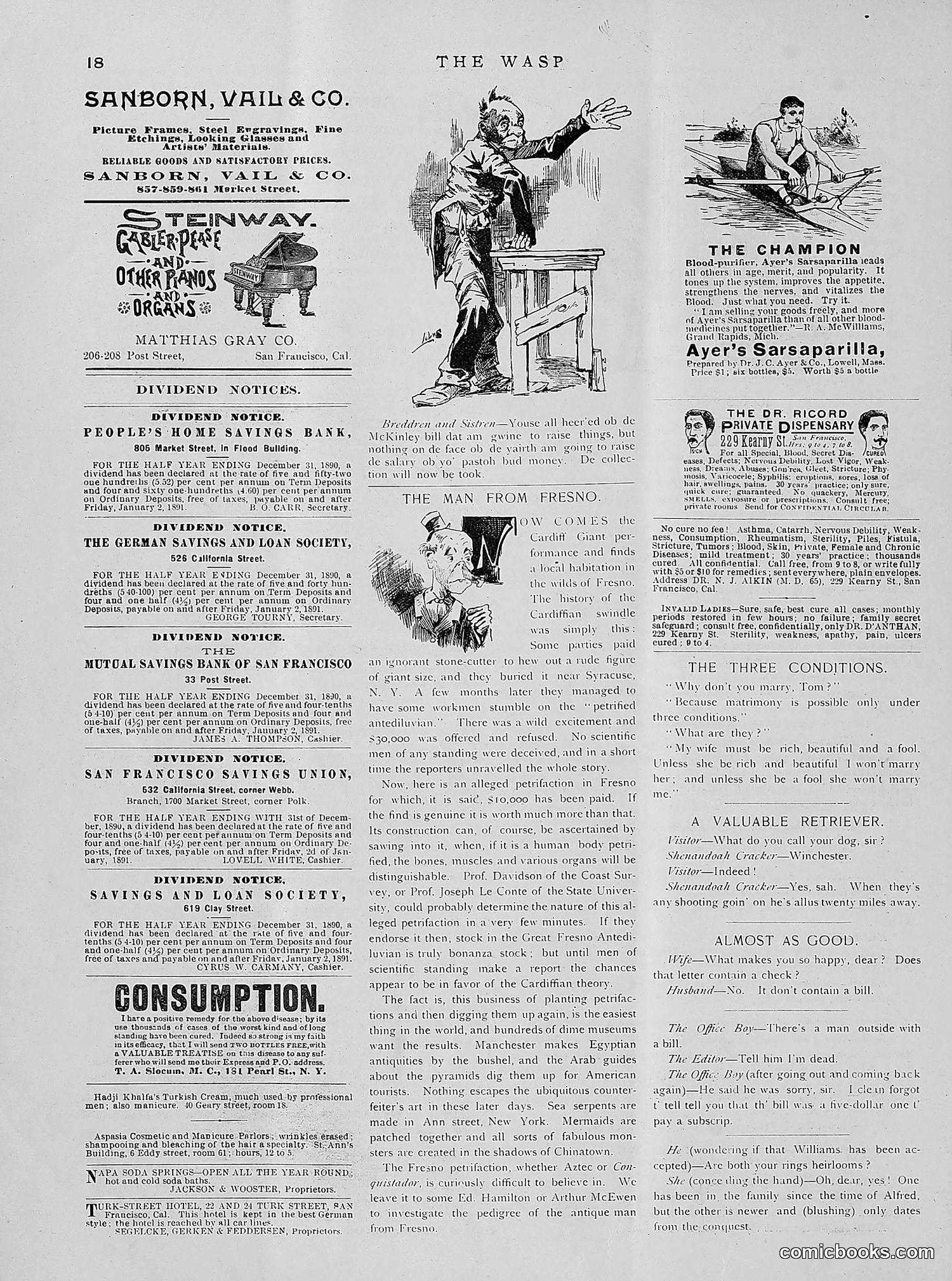 The Wasp — 1891 — page 55 of 612