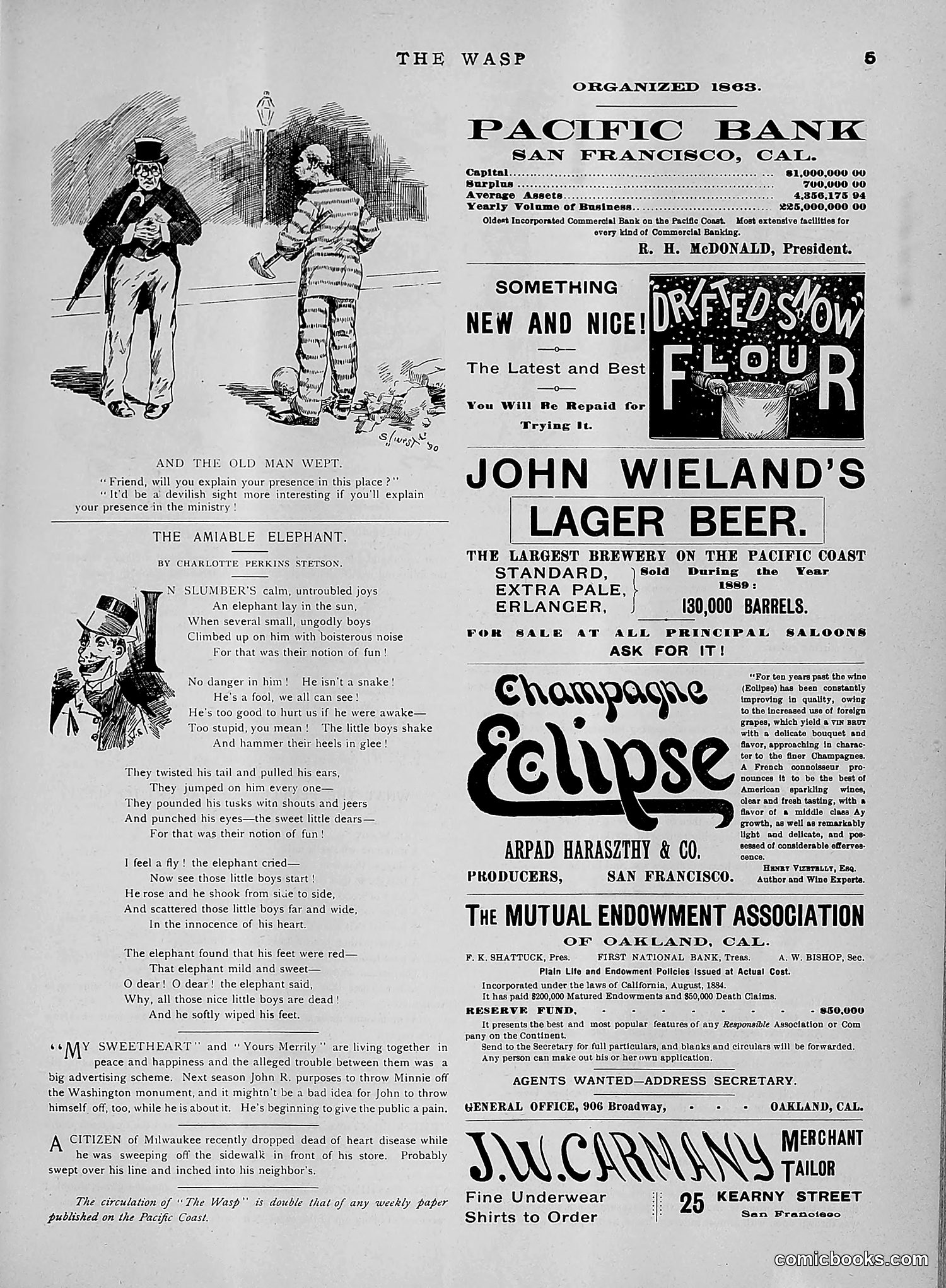 The Wasp — 1891 — page 544 of 612
