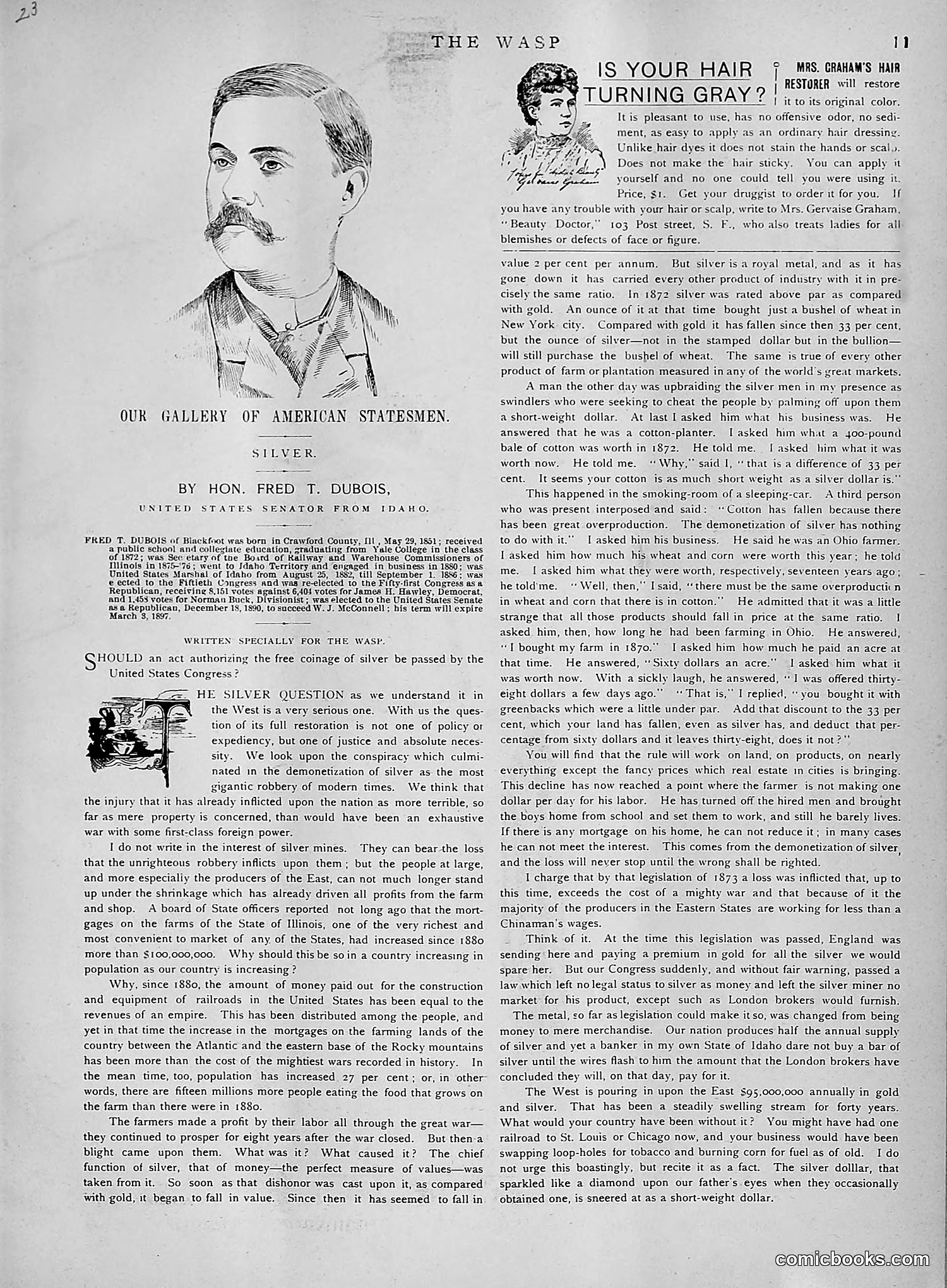 The Wasp — 1891 — page 550 of 612