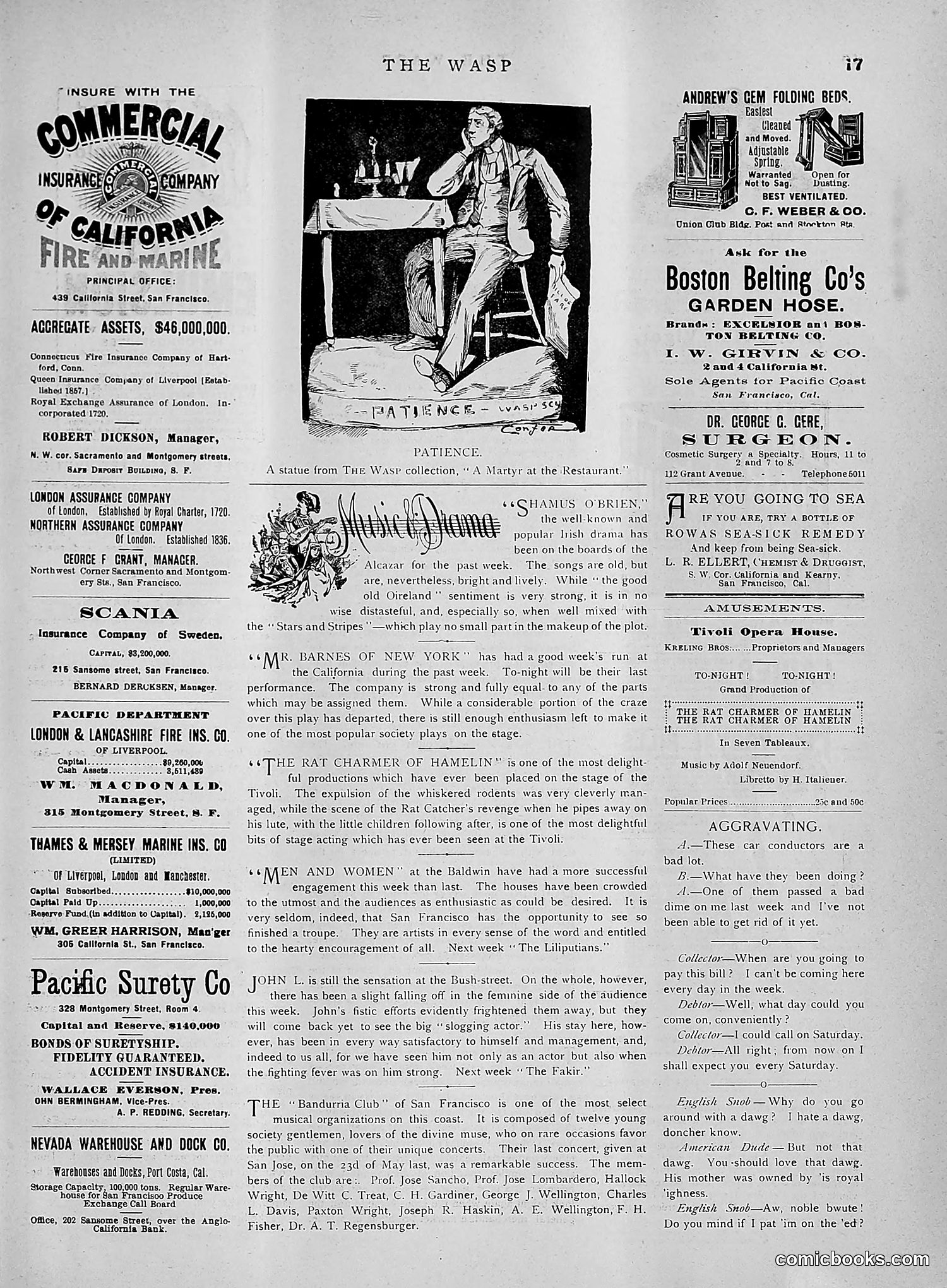 The Wasp — 1891 — page 554 of 612