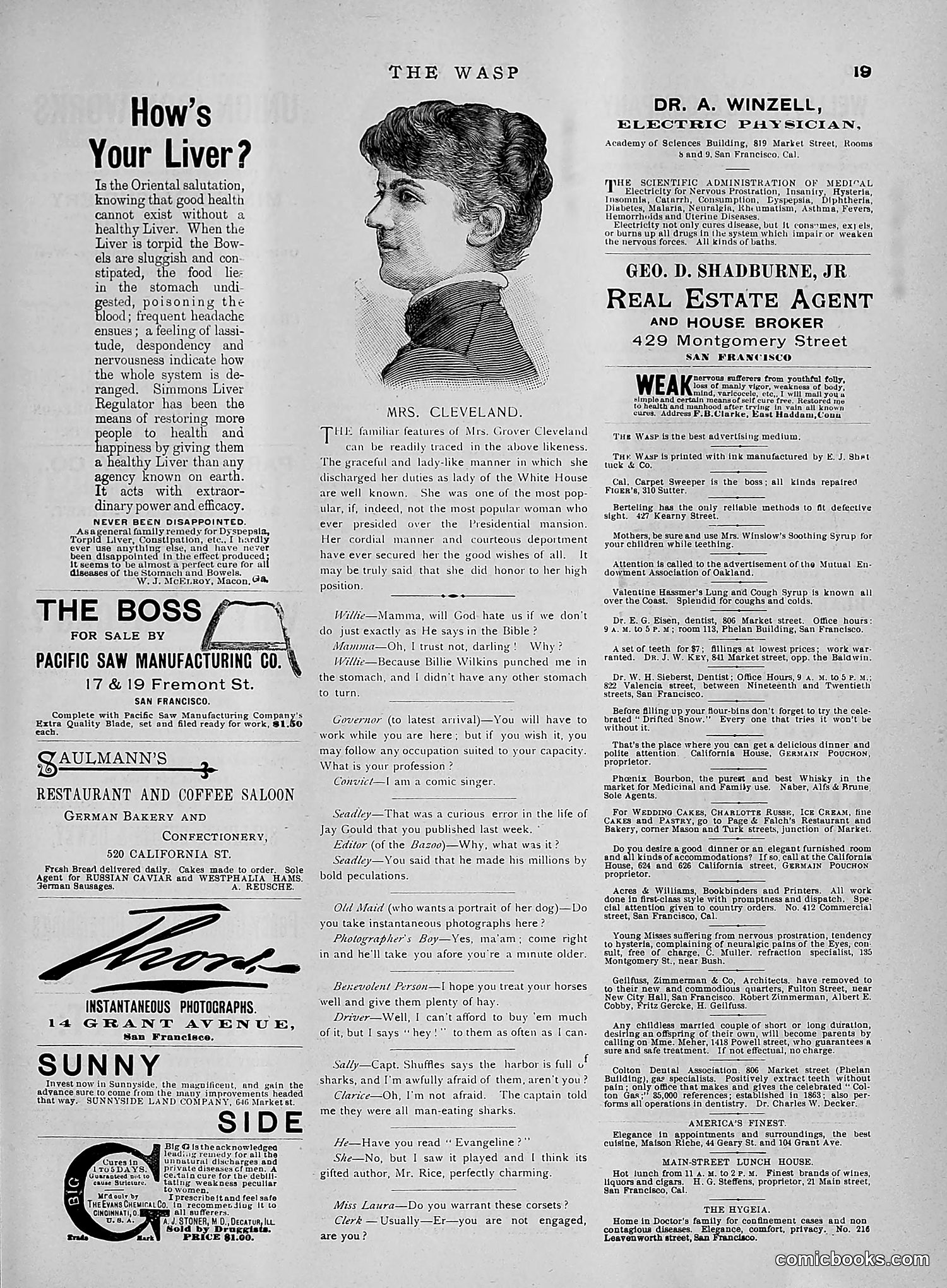 The Wasp — 1891 — page 556 of 612