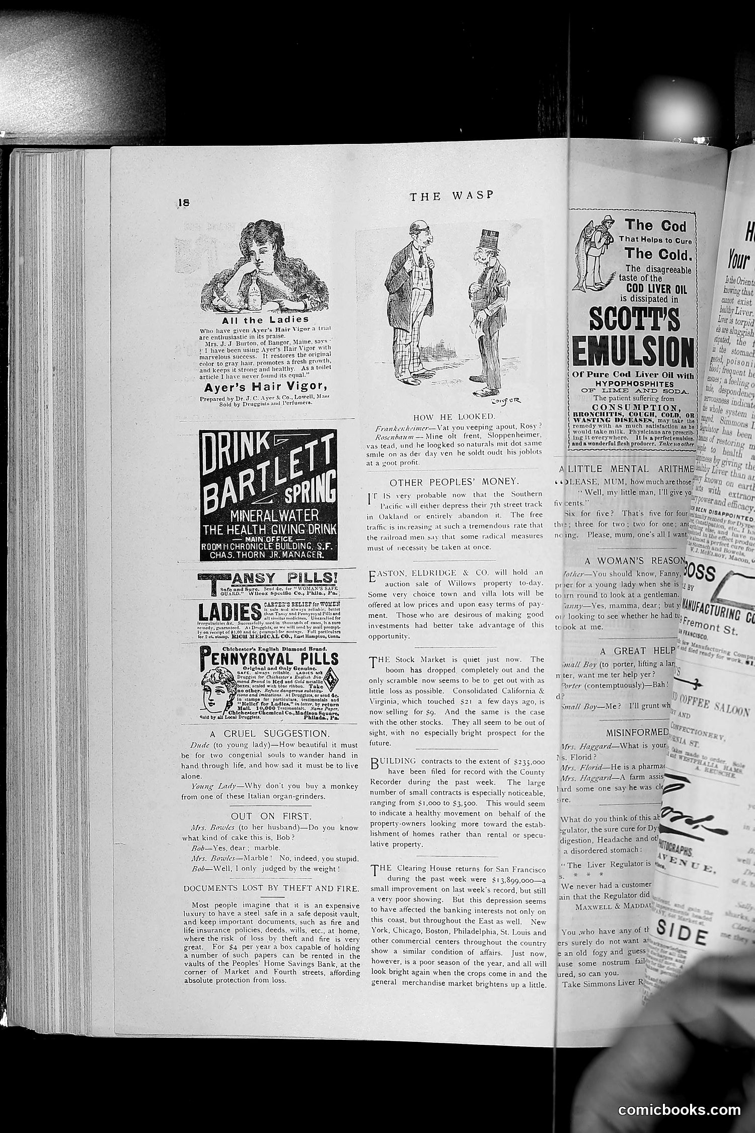 The Wasp — 1891 — page 557 of 612