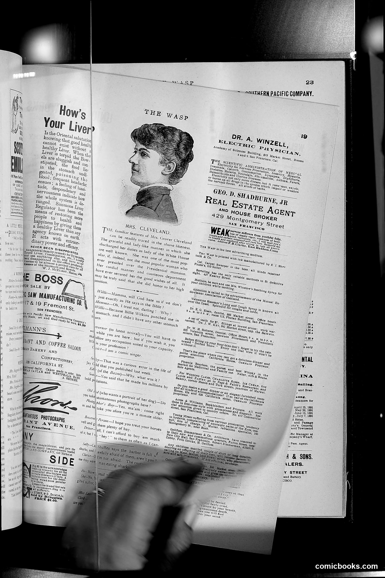 The Wasp — 1891 — page 558 of 612