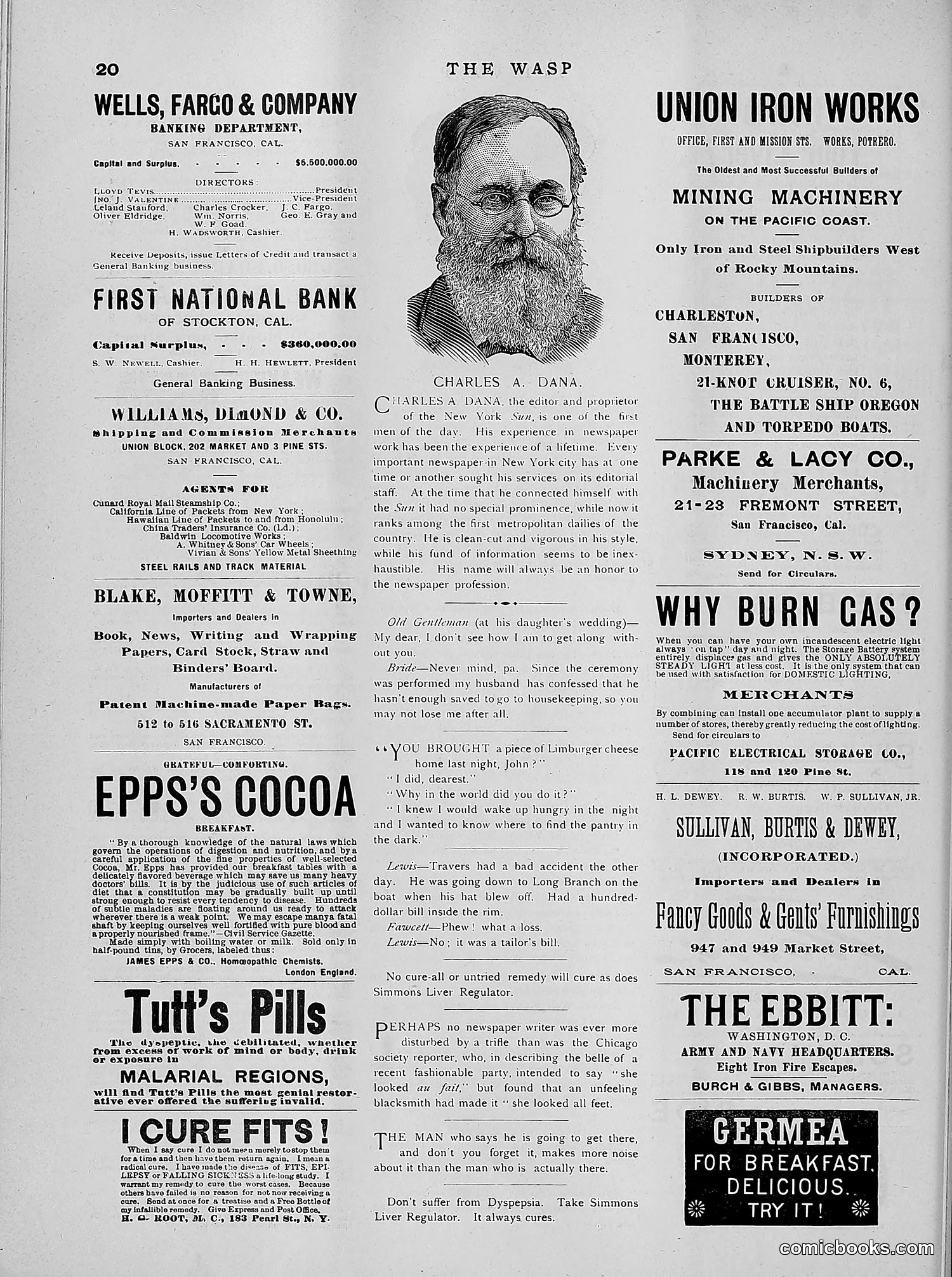 The Wasp — 1891 — page 559 of 612