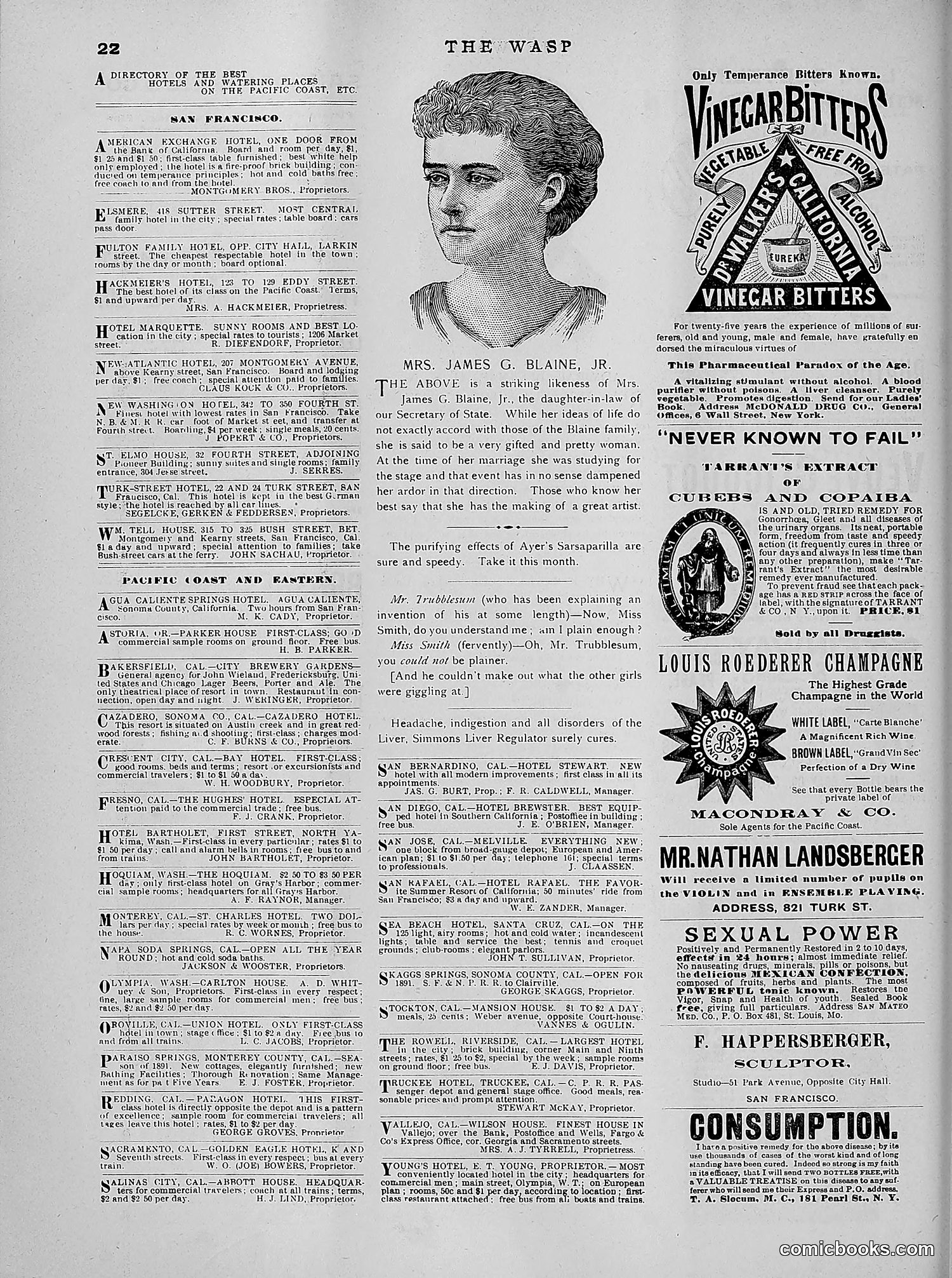 The Wasp — 1891 — page 561 of 612
