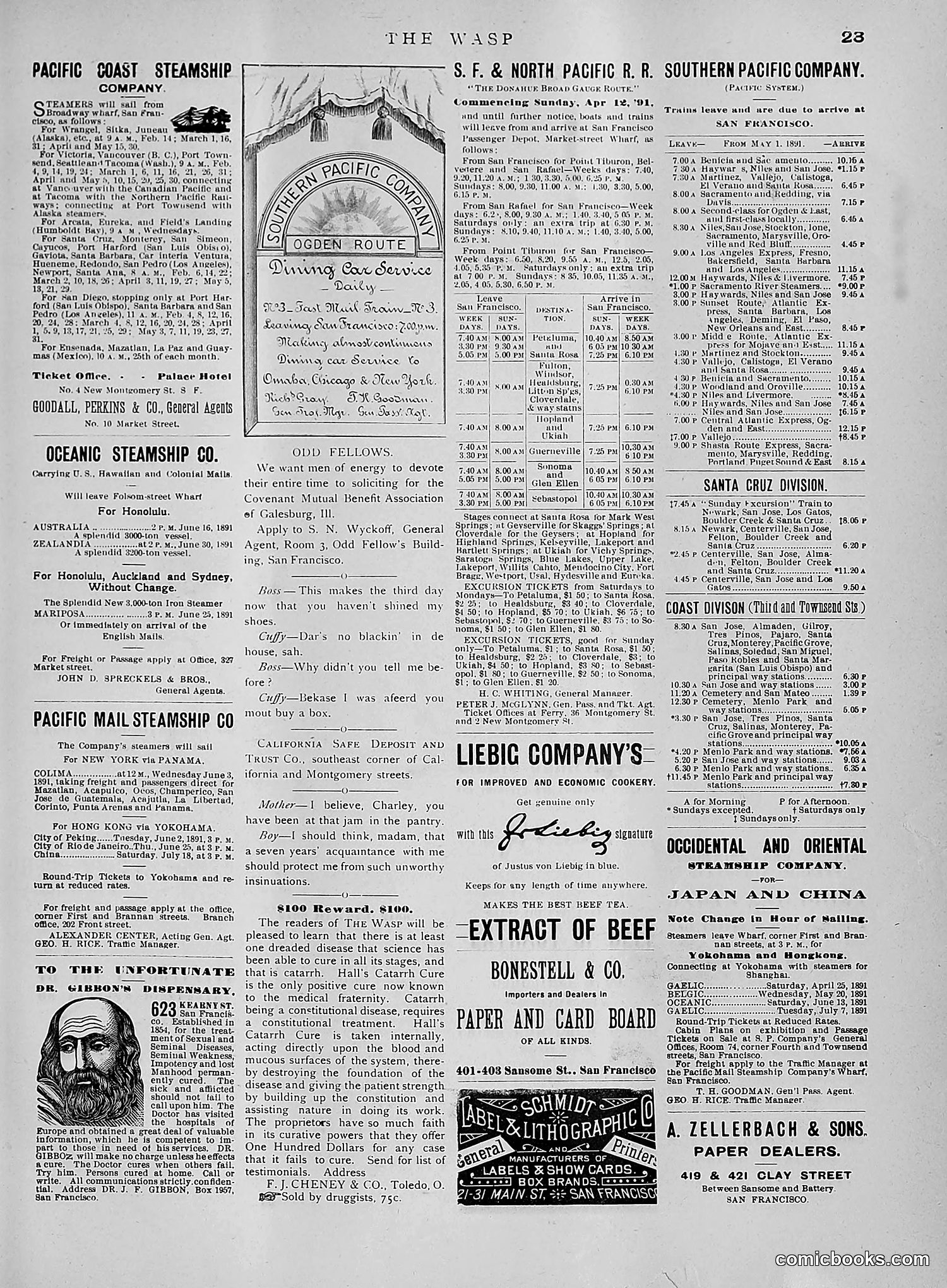 The Wasp — 1891 — page 562 of 612