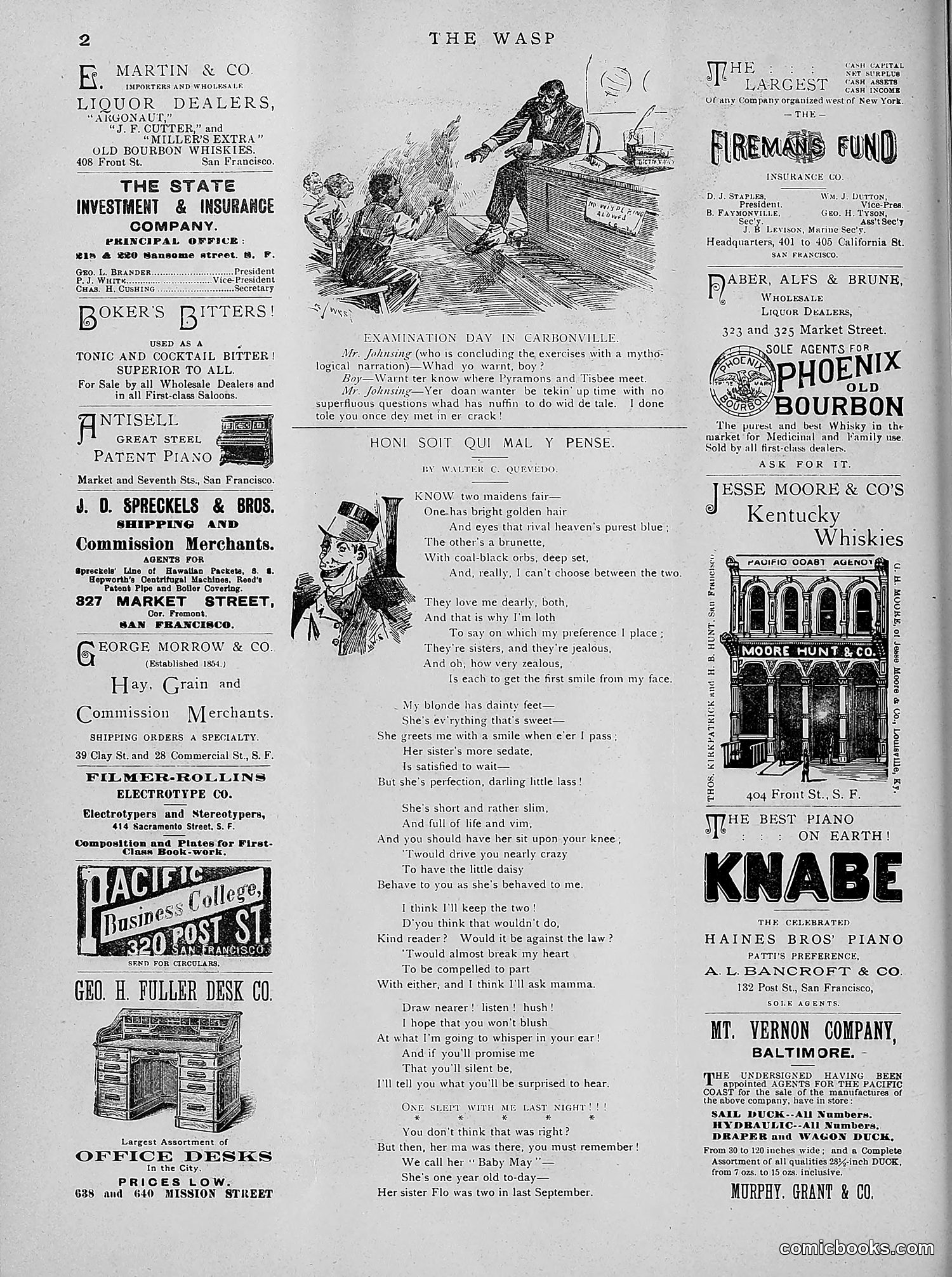 The Wasp — 1891 — page 565 of 612