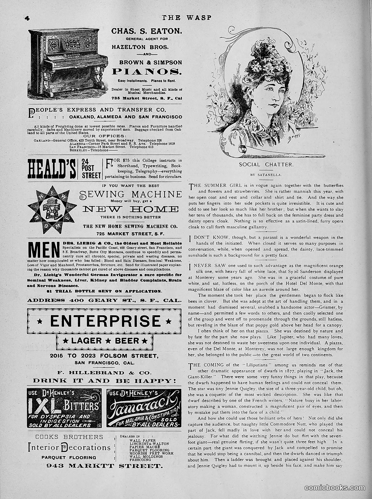 The Wasp — 1891 — page 567 of 612