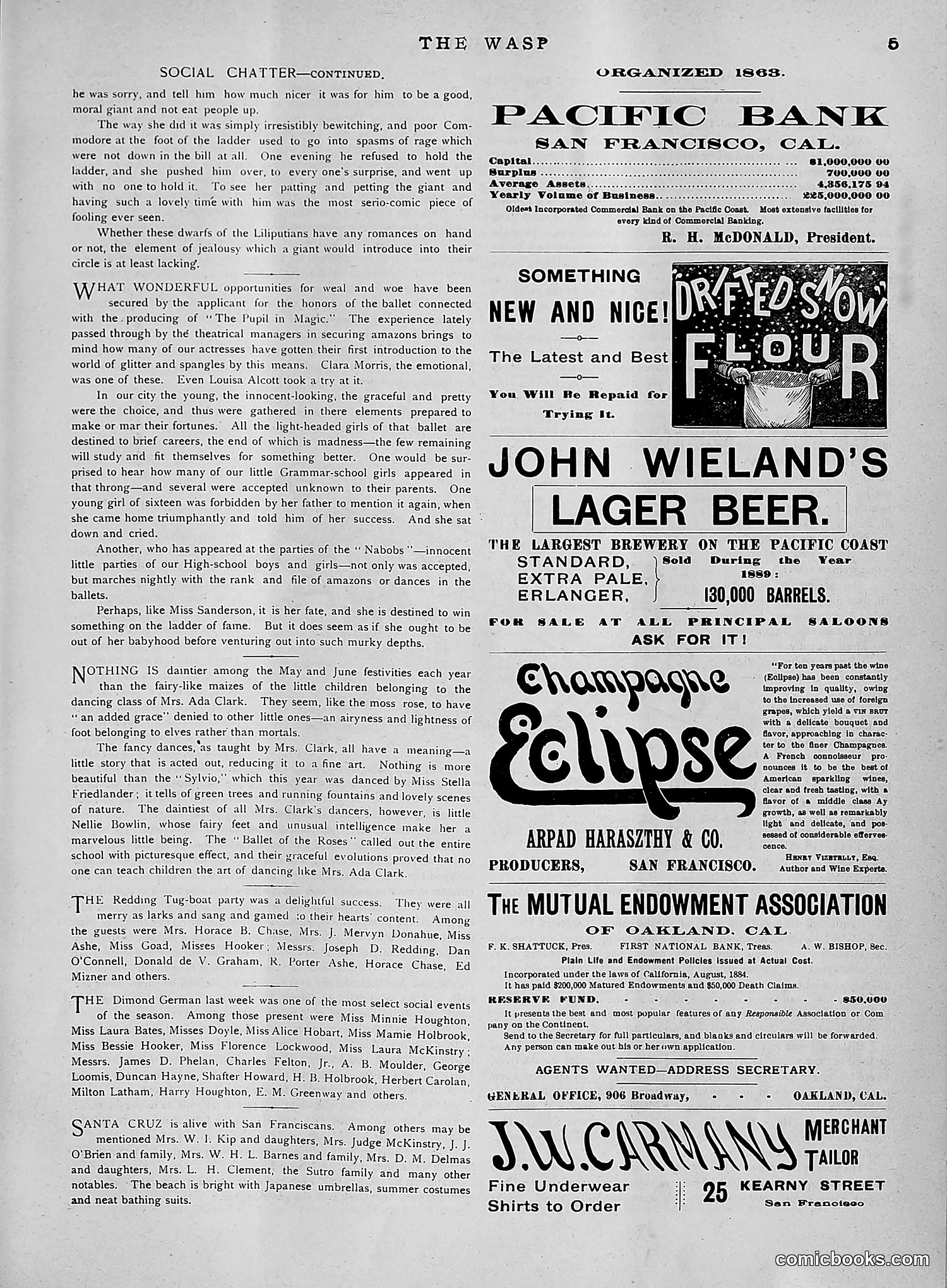 The Wasp — 1891 — page 568 of 612