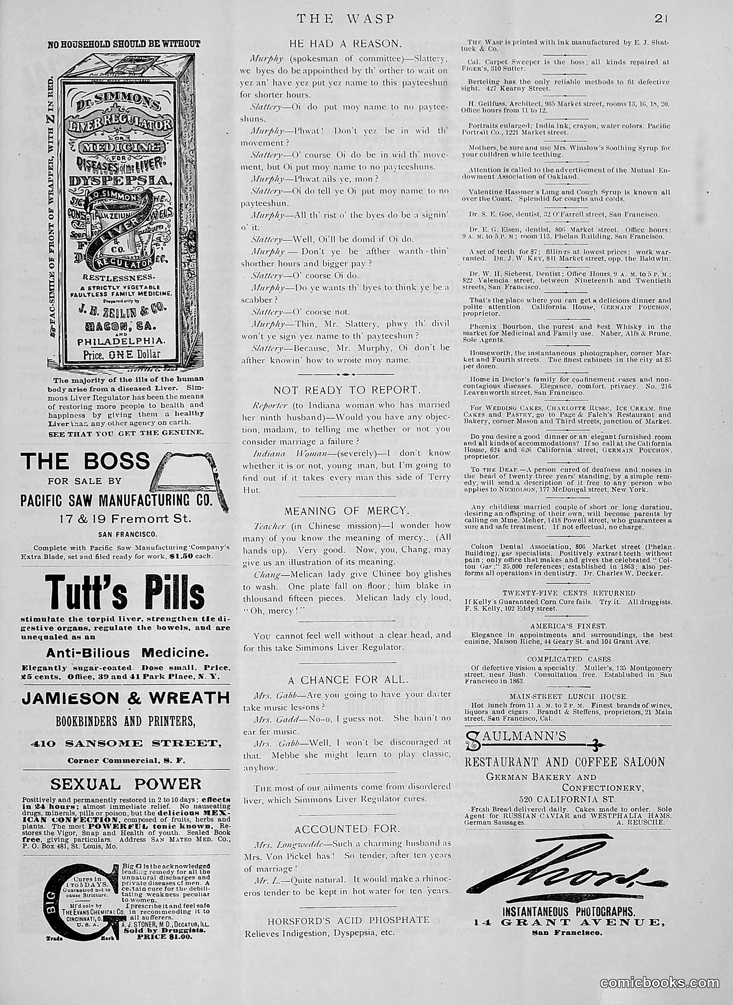 The Wasp — 1891 — page 58 of 612