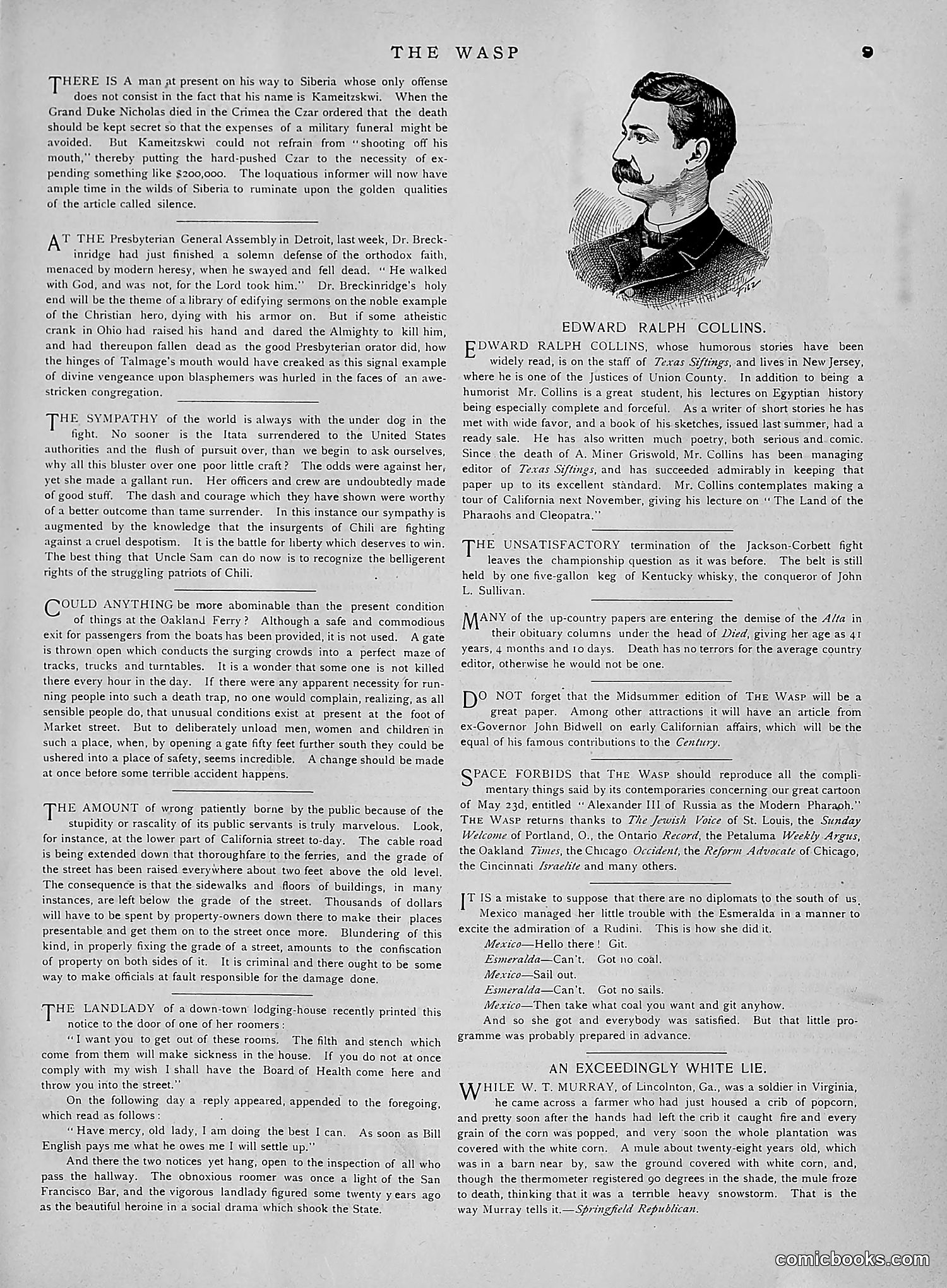 The Wasp — 1891 — page 572 of 612