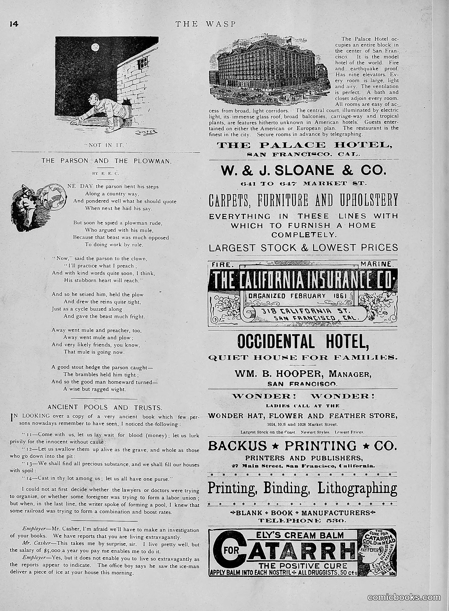 The Wasp — 1891 — page 577 of 612