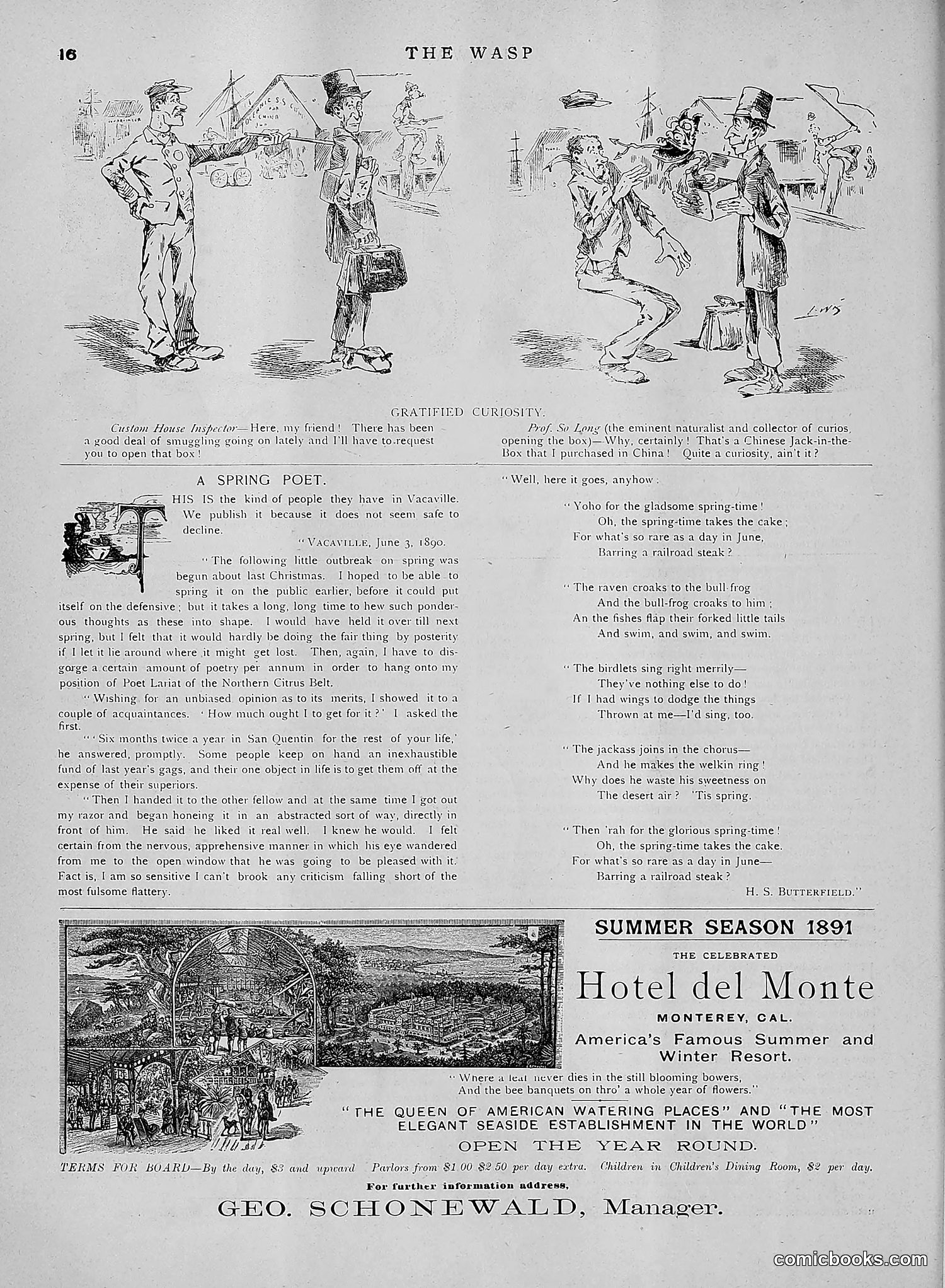 The Wasp — 1891 — page 579 of 612