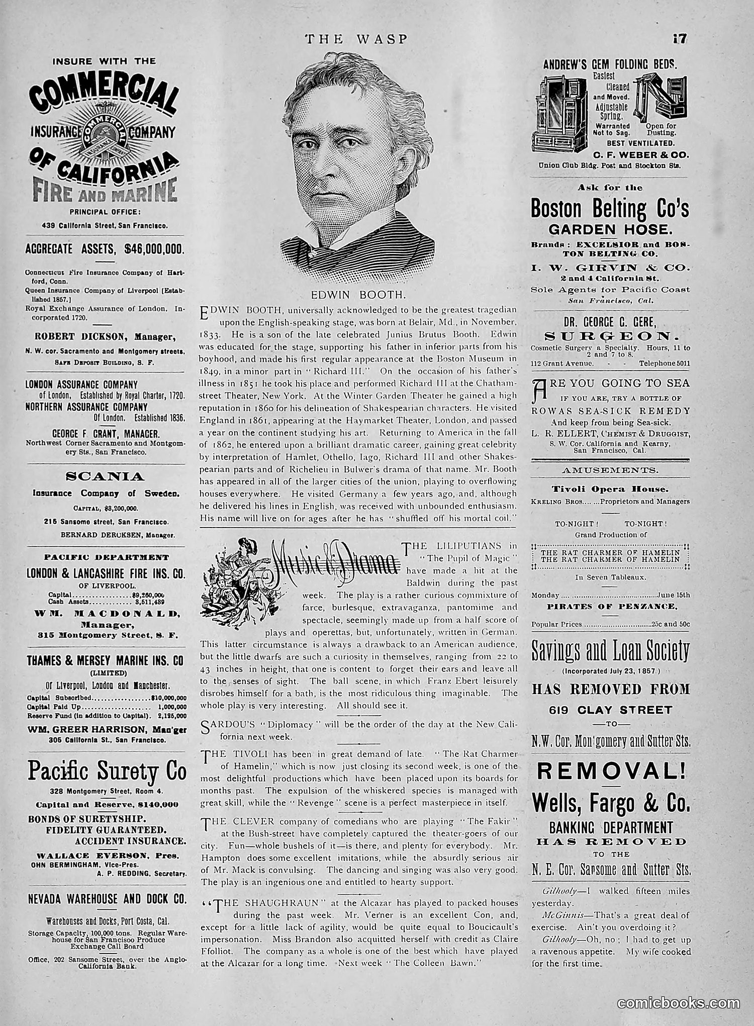 The Wasp — 1891 — page 580 of 612
