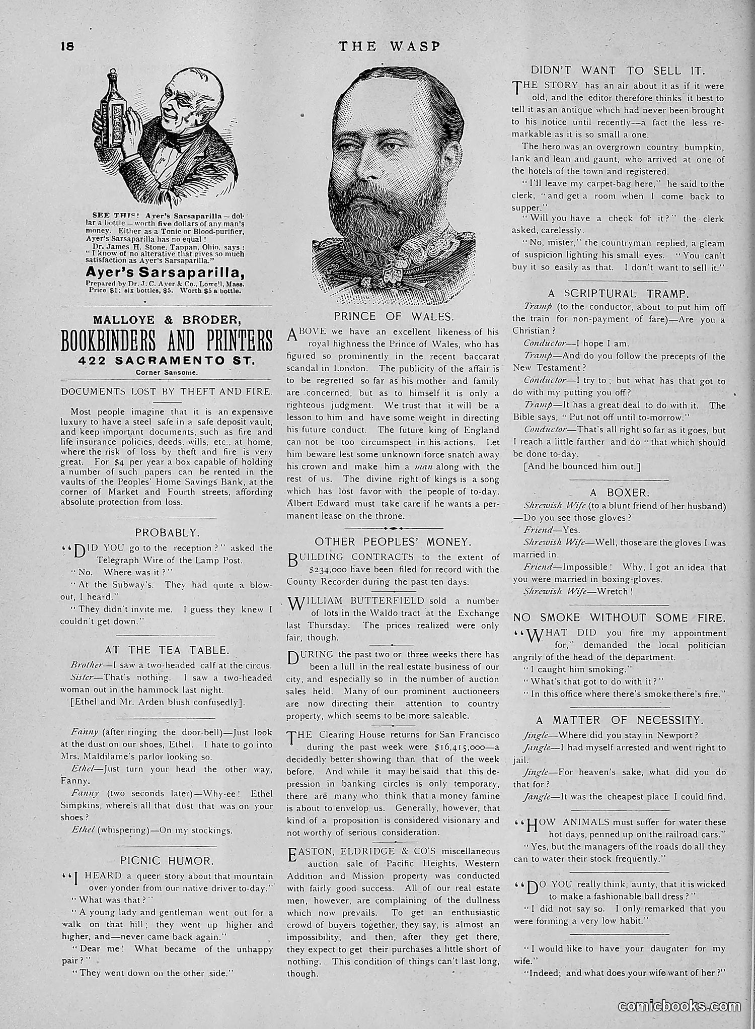 The Wasp — 1891 — page 581 of 612
