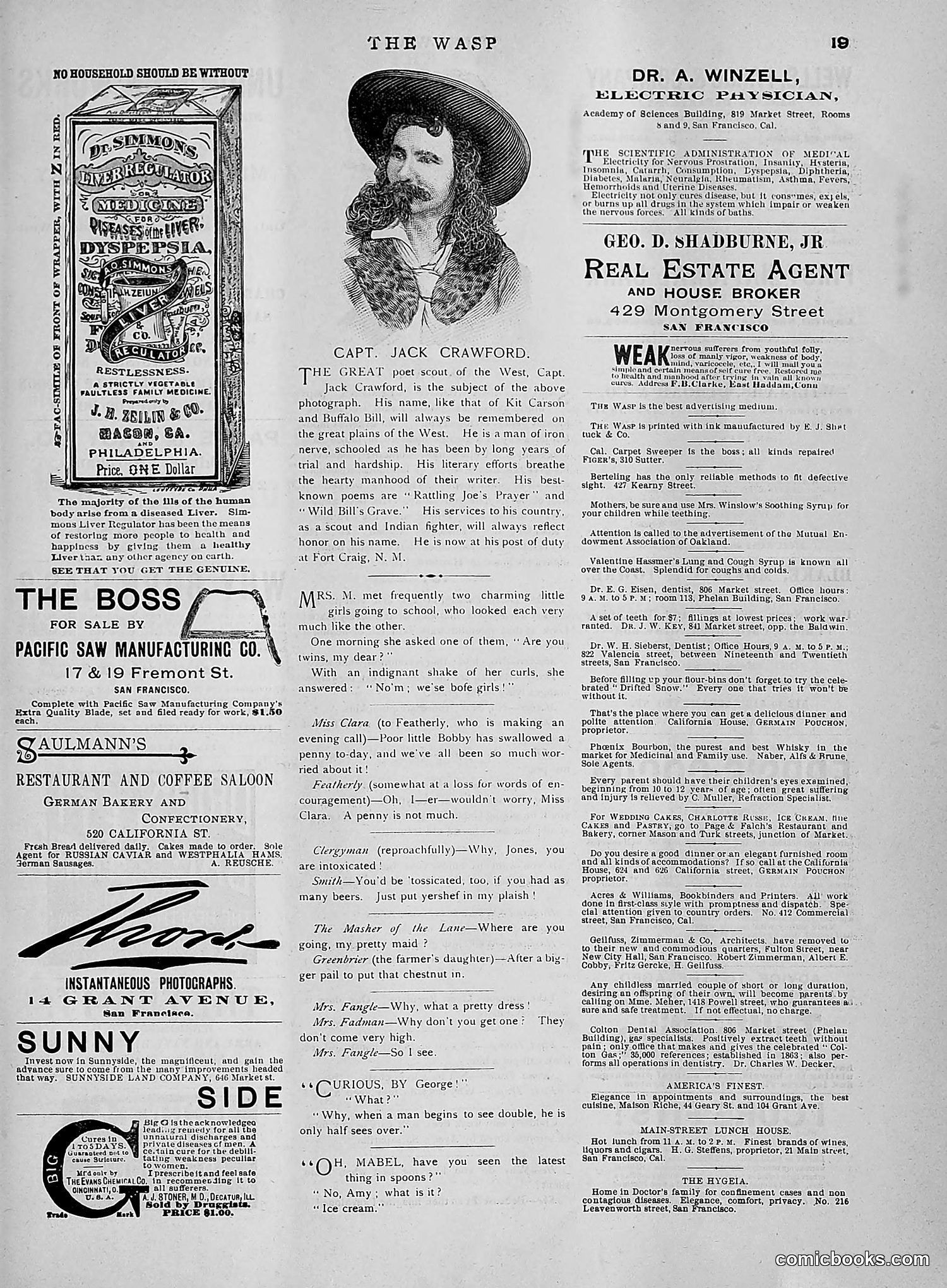 The Wasp — 1891 — page 582 of 612