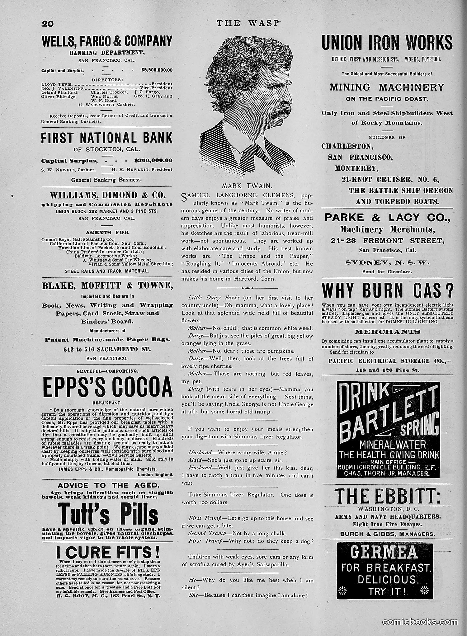 The Wasp — 1891 — page 583 of 612