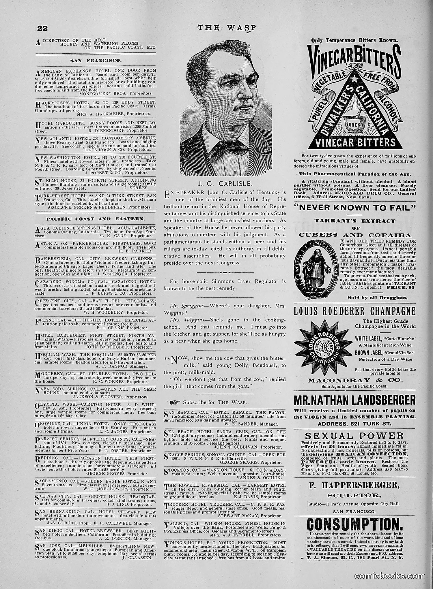 The Wasp — 1891 — page 585 of 612
