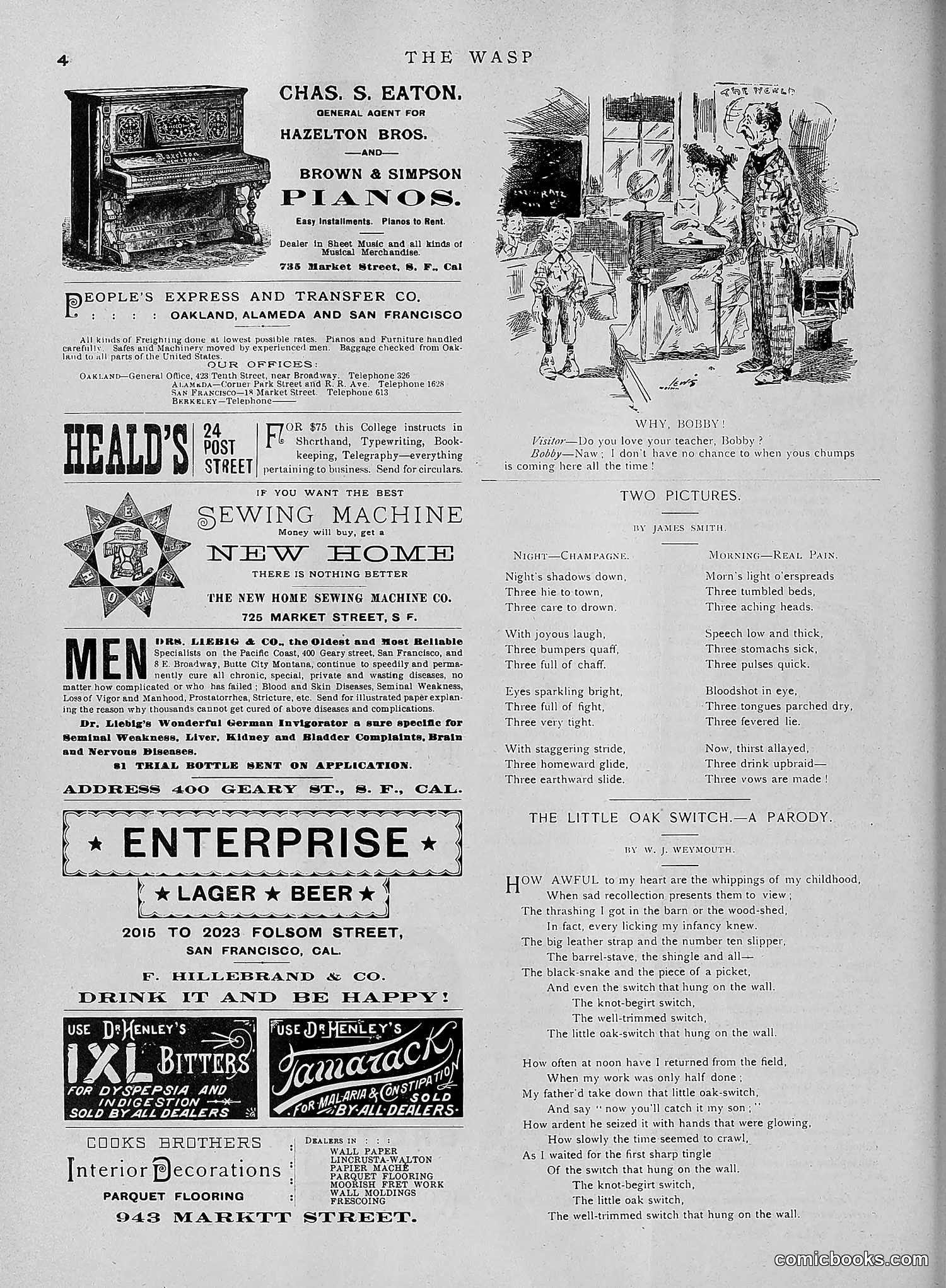 The Wasp — 1891 — page 591 of 612