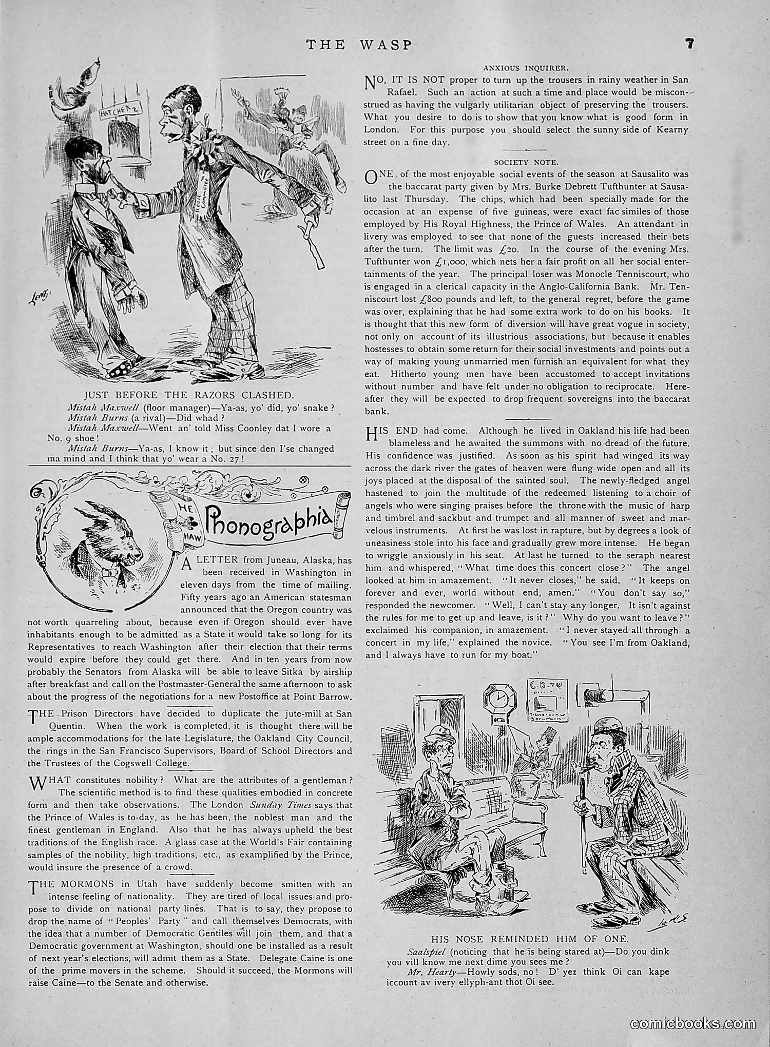 The Wasp — 1891 — page 594 of 612