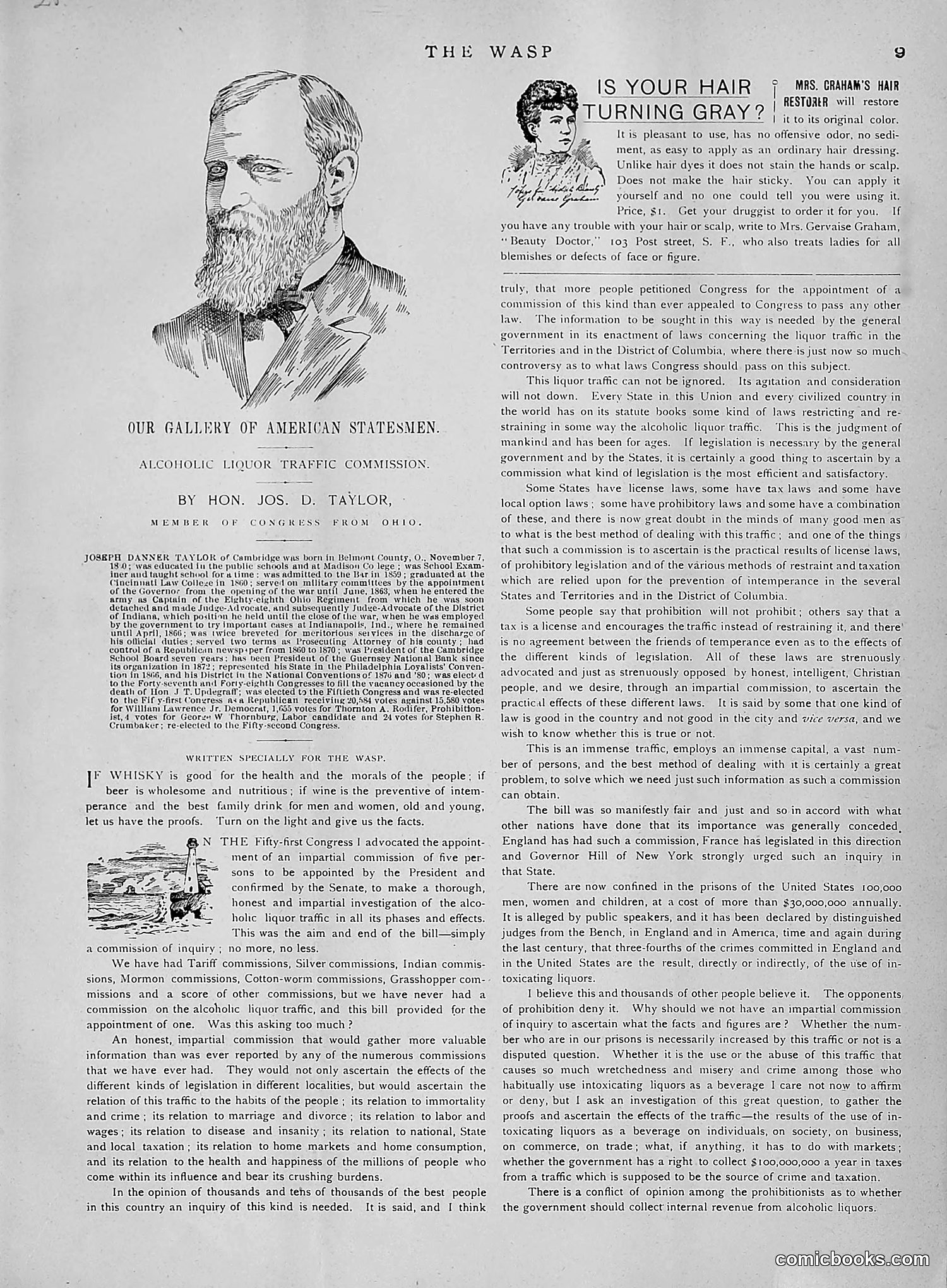 The Wasp — 1891 — page 596 of 612