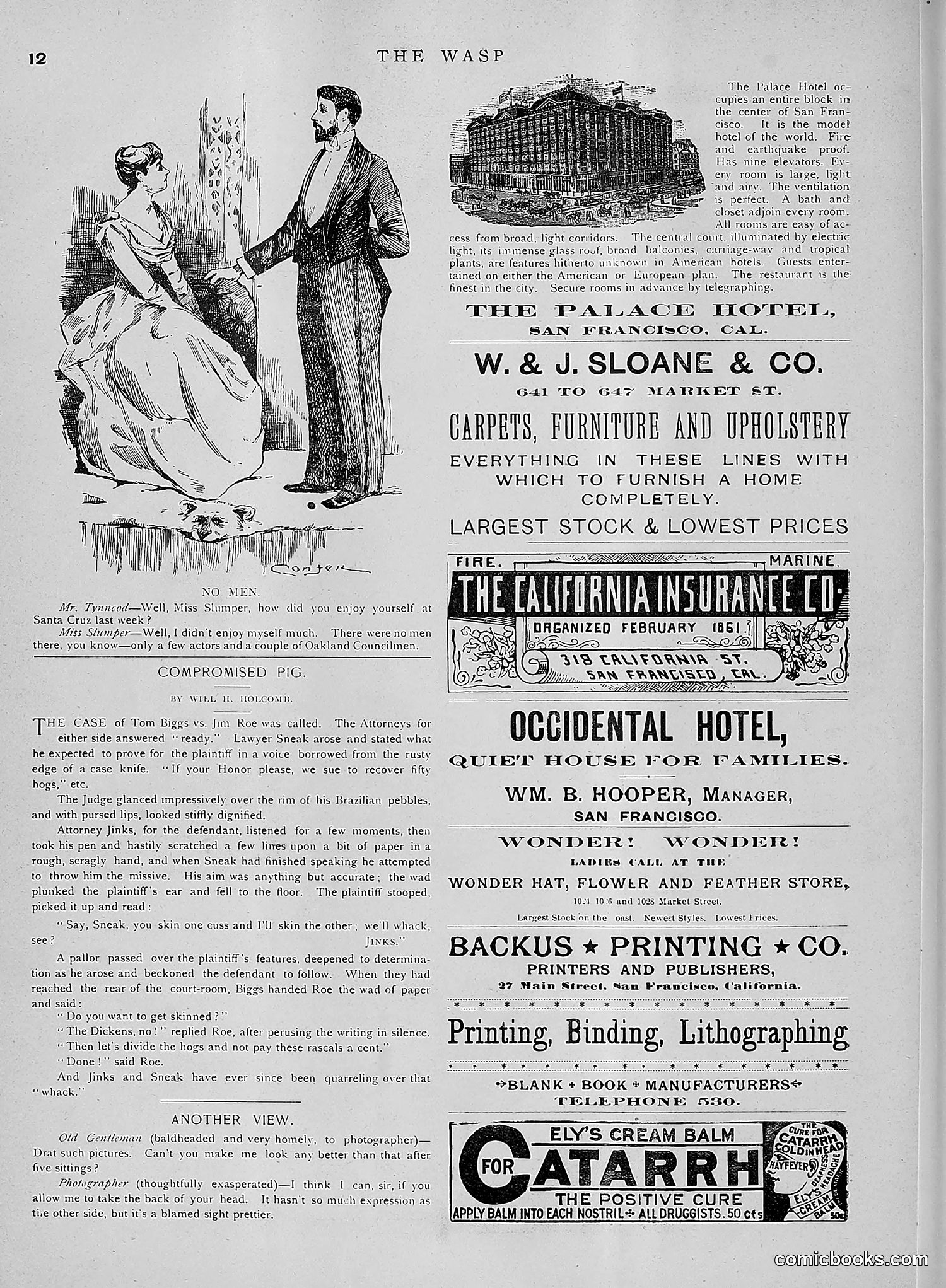 The Wasp — 1891 — page 599 of 612