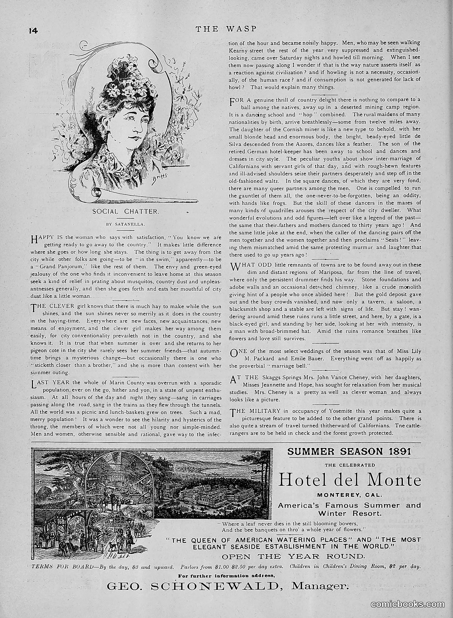 The Wasp — 1891 — page 601 of 612