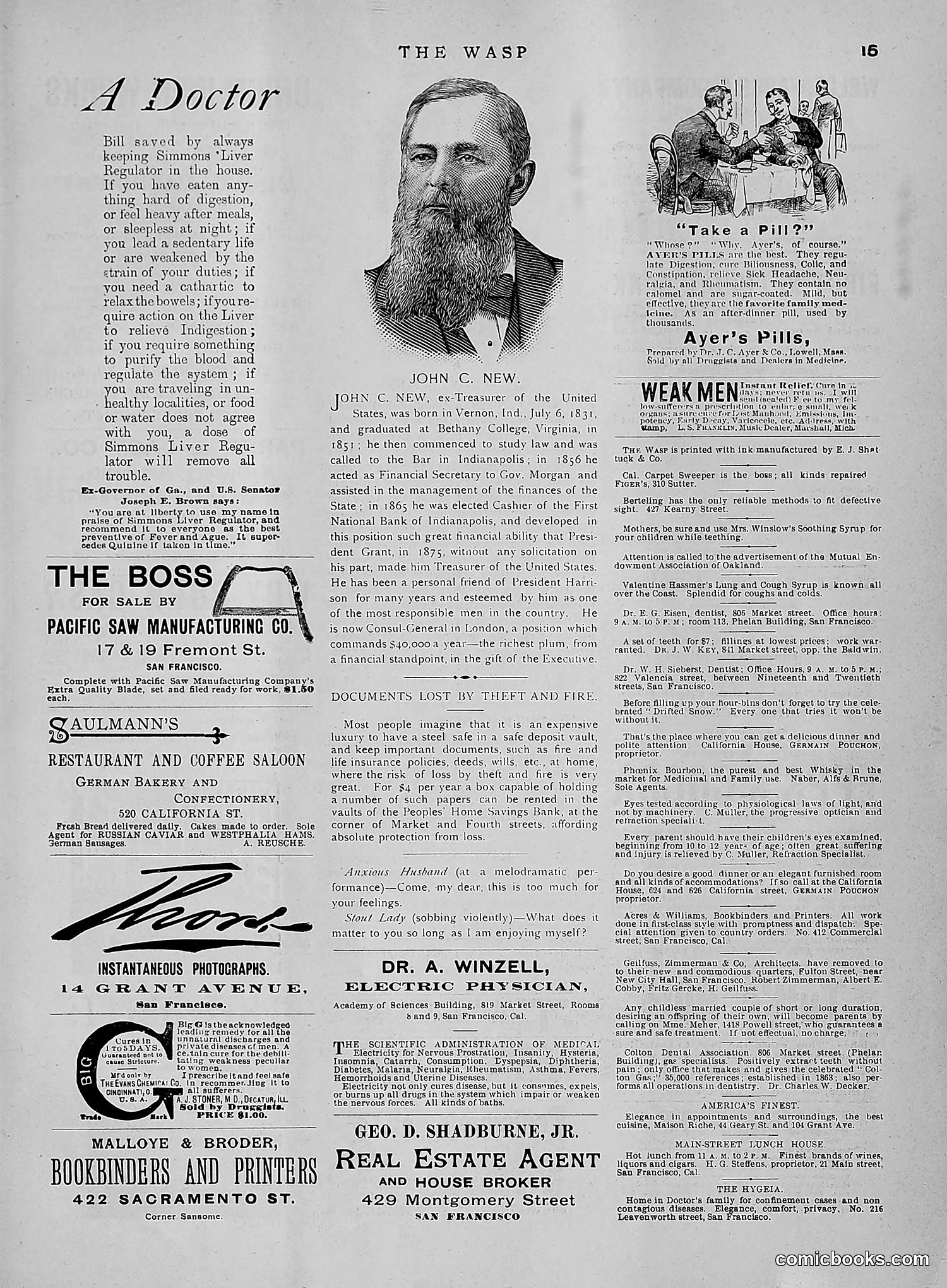 The Wasp — 1891 — page 602 of 612