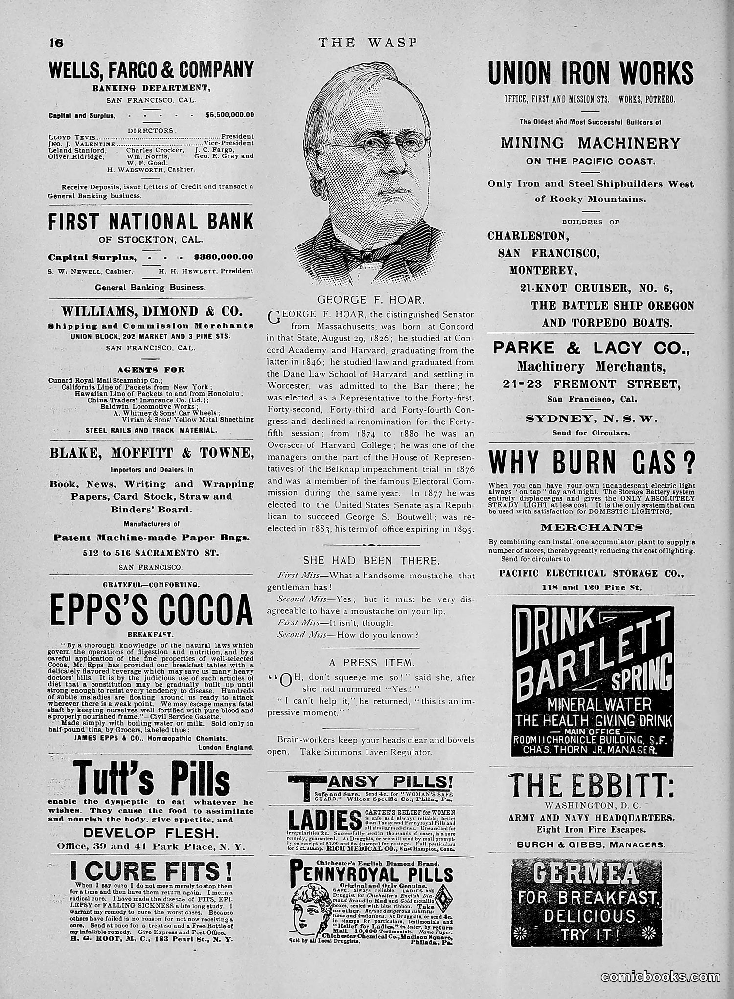 The Wasp — 1891 — page 603 of 612