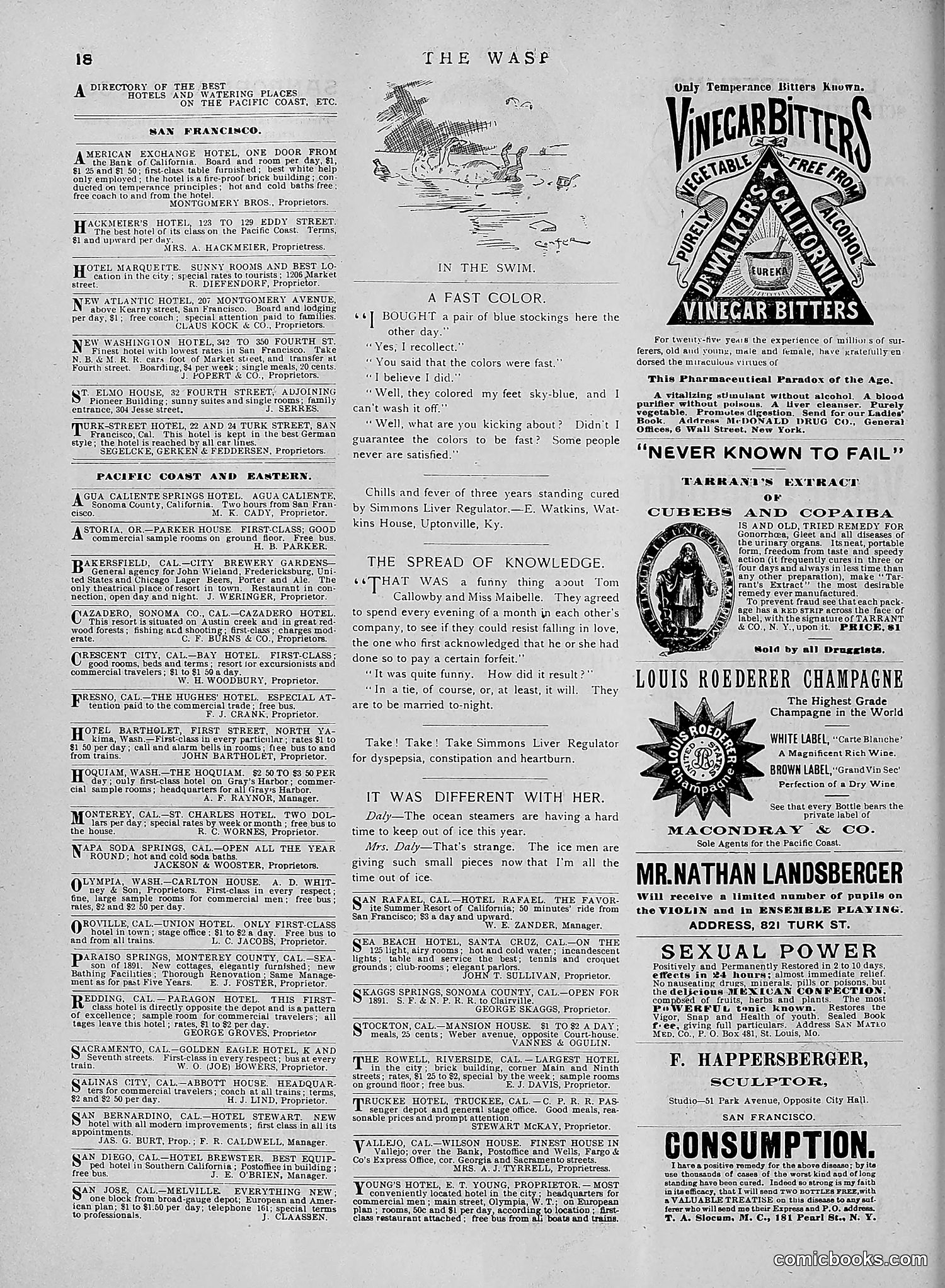 The Wasp — 1891 — page 605 of 612