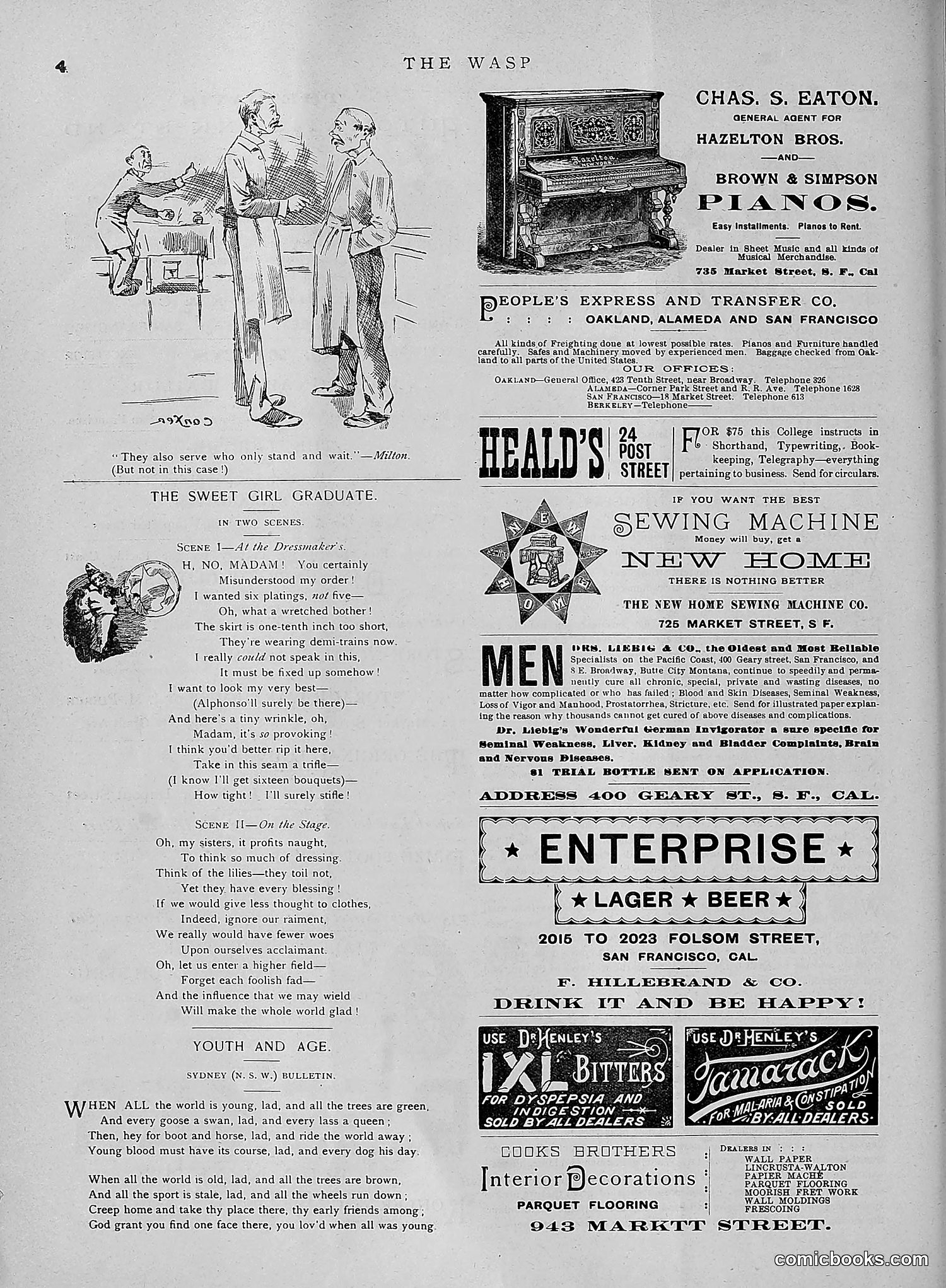 The Wasp — 1891 — page 611 of 612