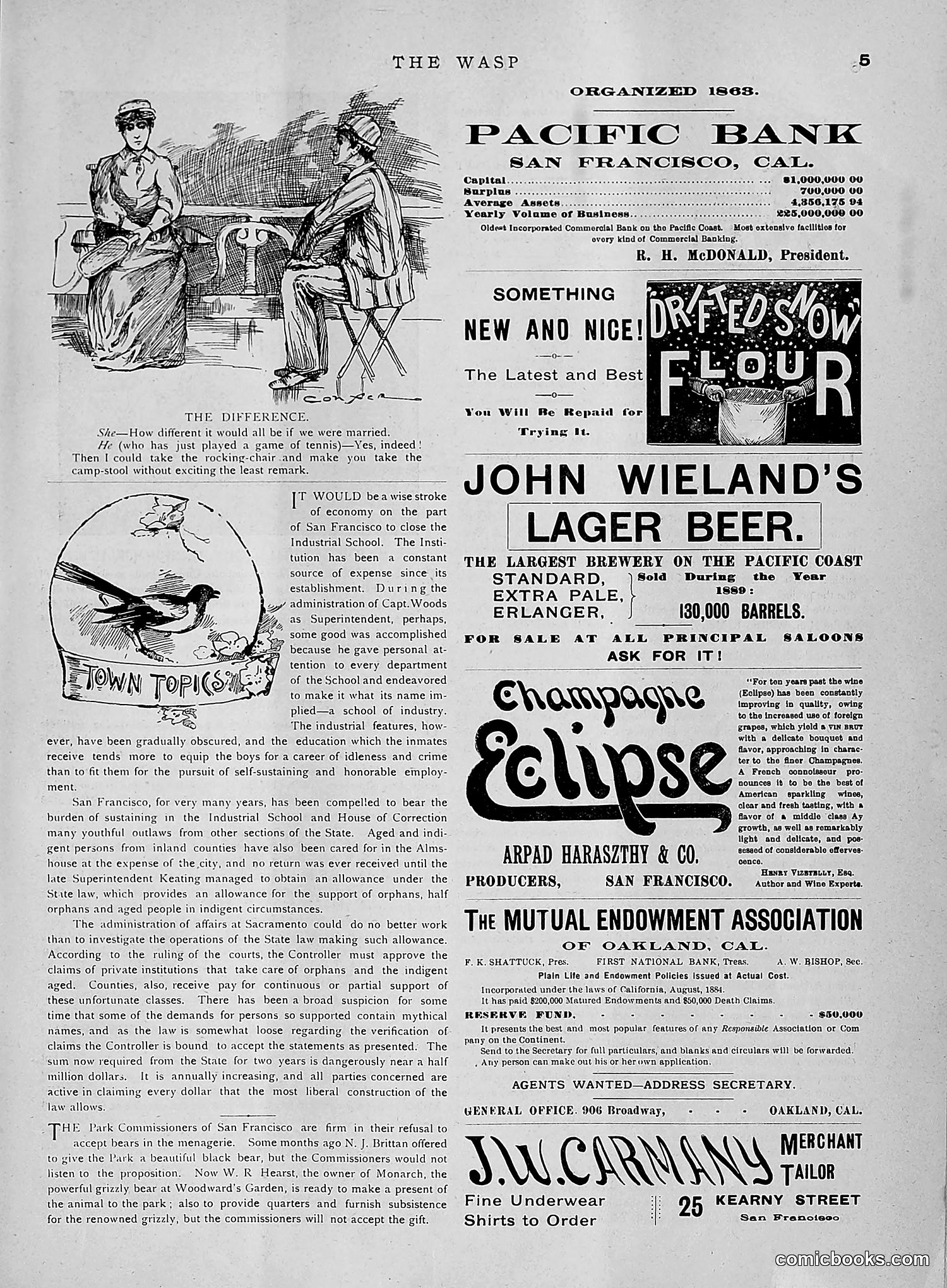 The Wasp — 1891 — page 612 of 612