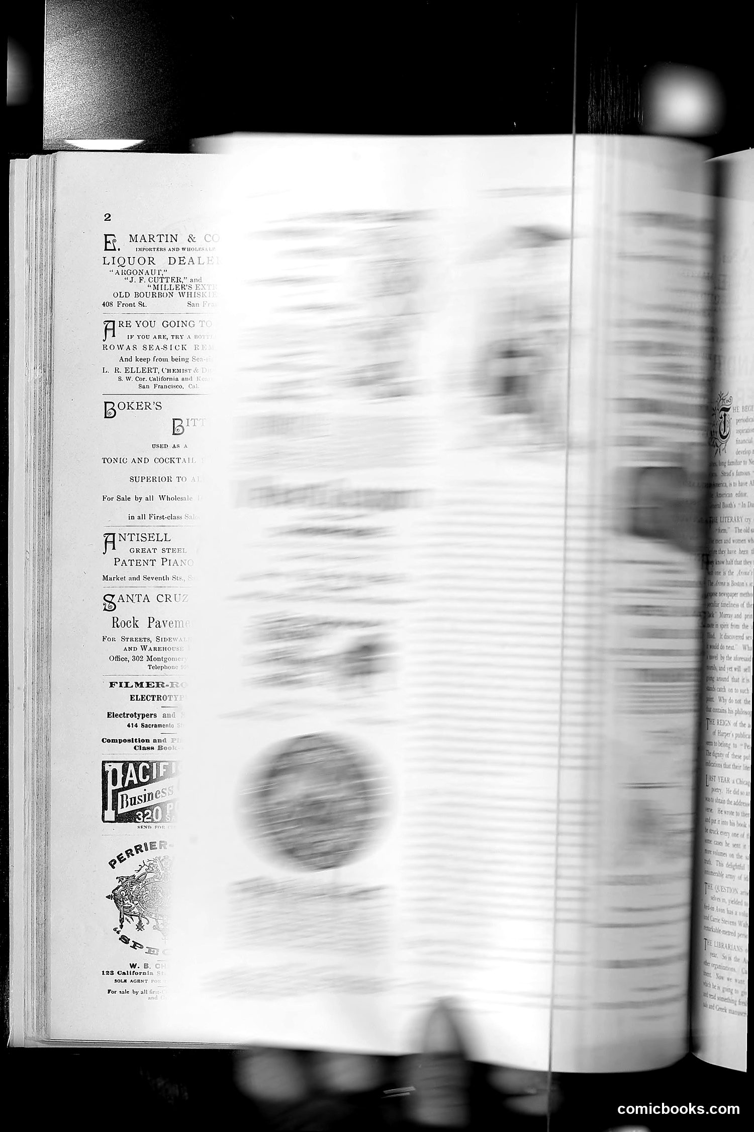 The Wasp — 1891 — page 65 of 612