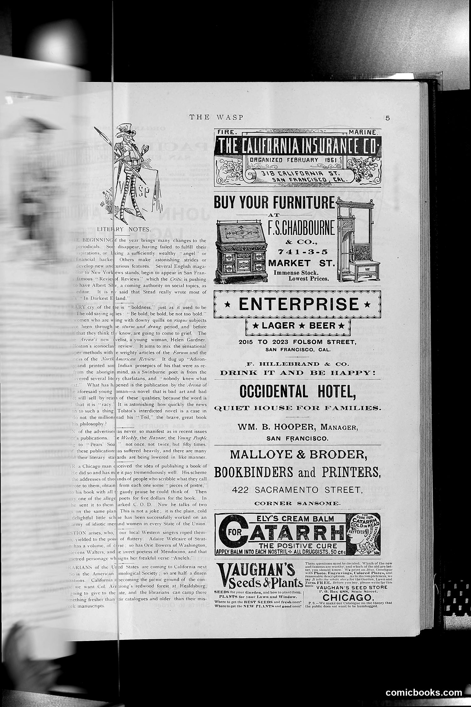 The Wasp — 1891 — page 66 of 612