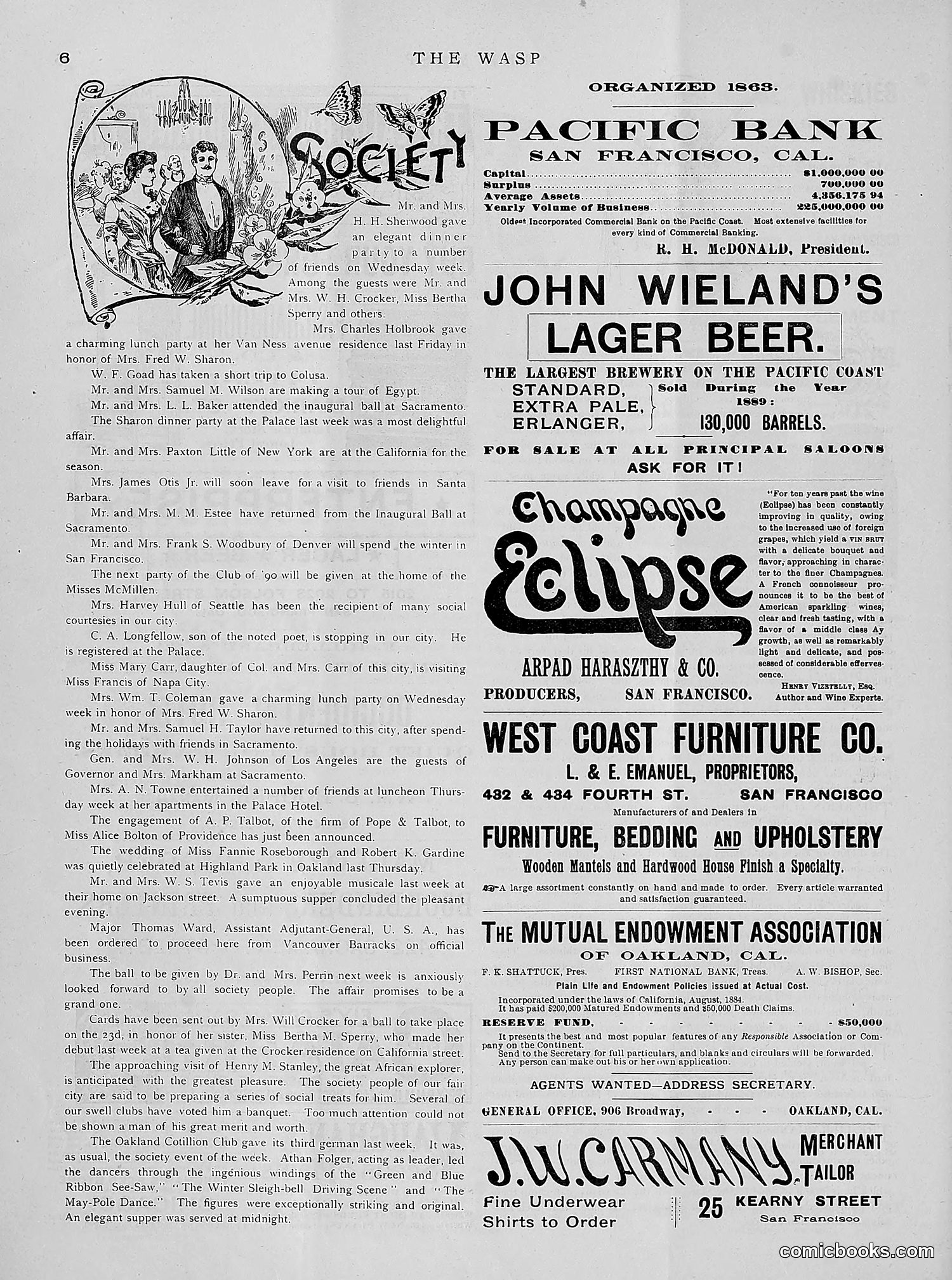 The Wasp — 1891 — page 69 of 612