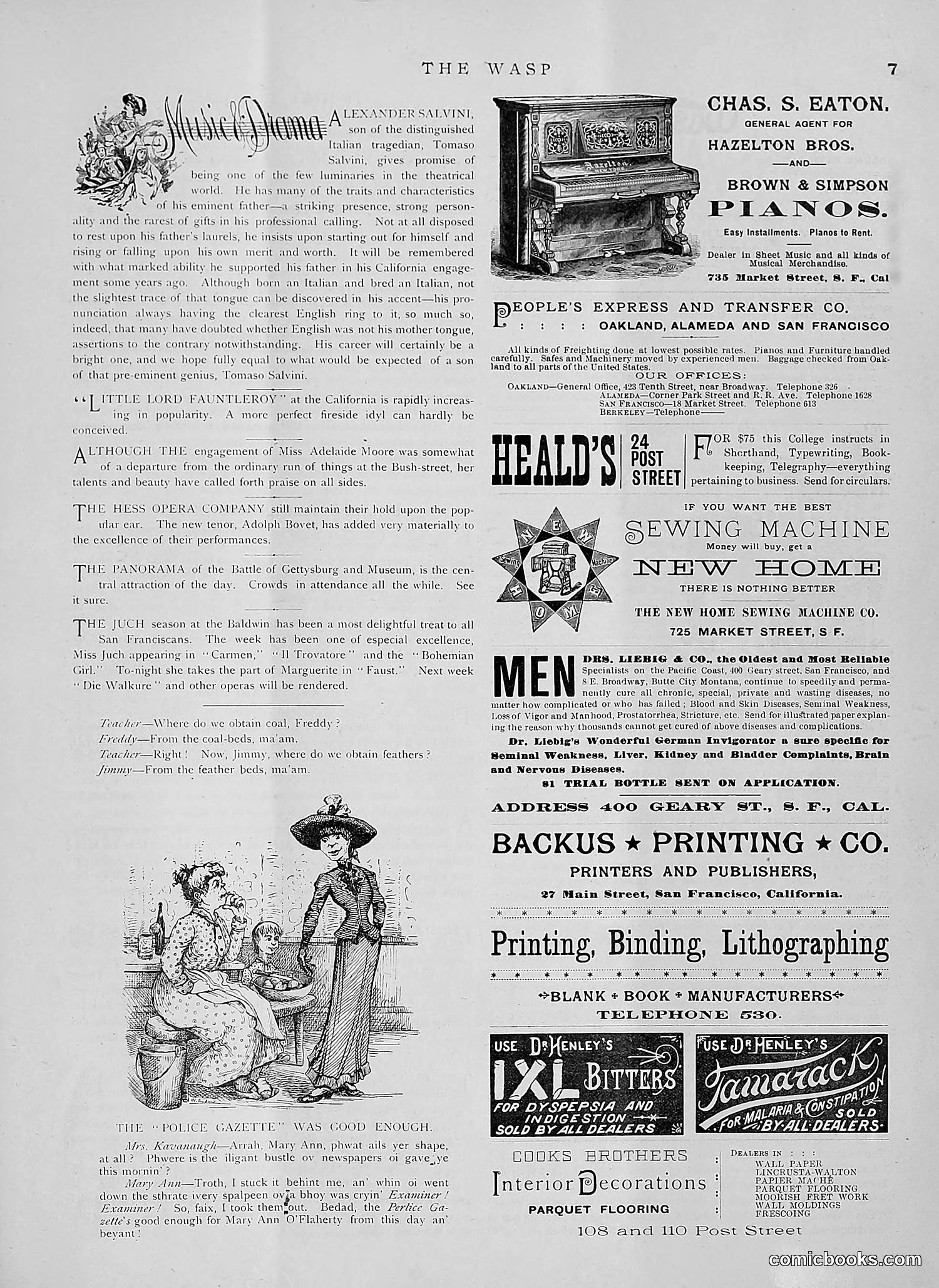 The Wasp — 1891 — page 70 of 612