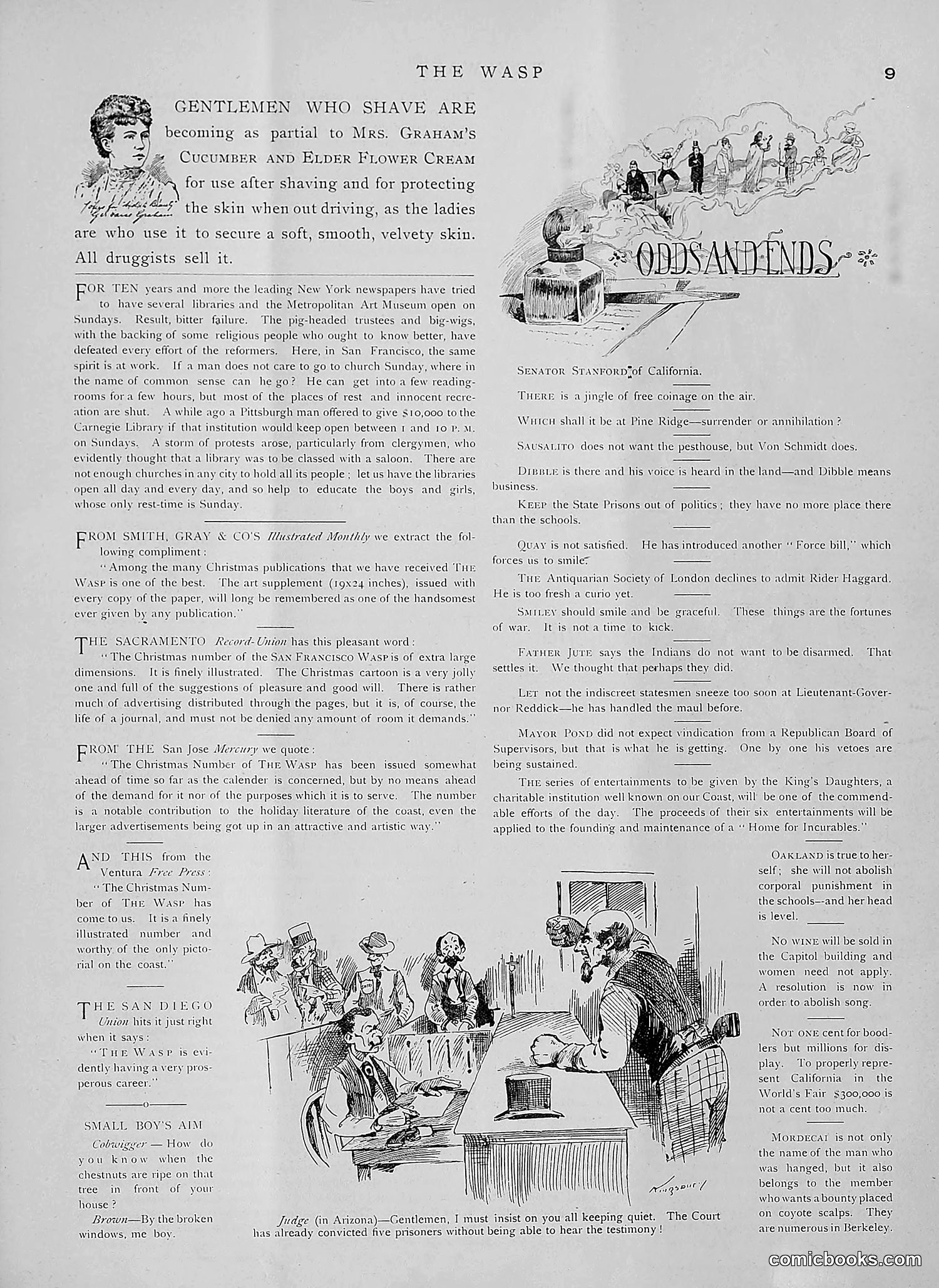 The Wasp — 1891 — page 72 of 612