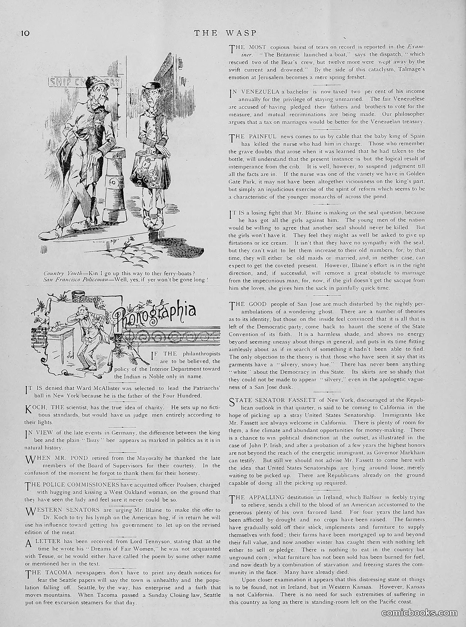 The Wasp — 1891 — page 73 of 612