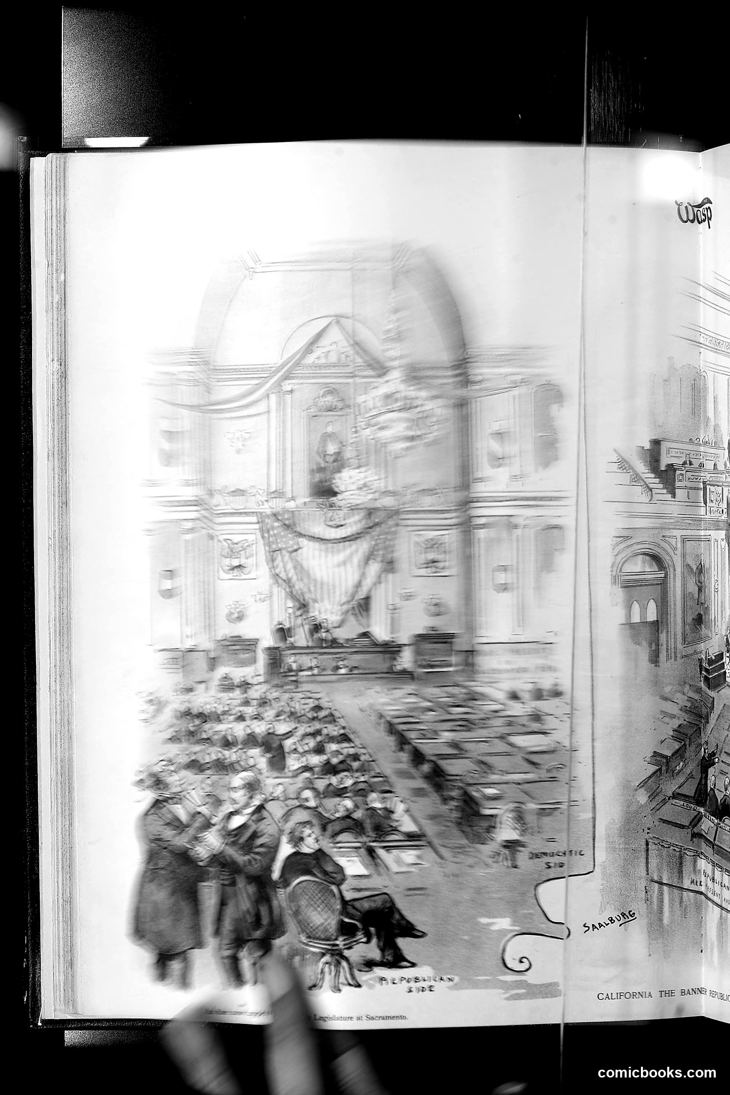 The Wasp — 1891 — page 75 of 612