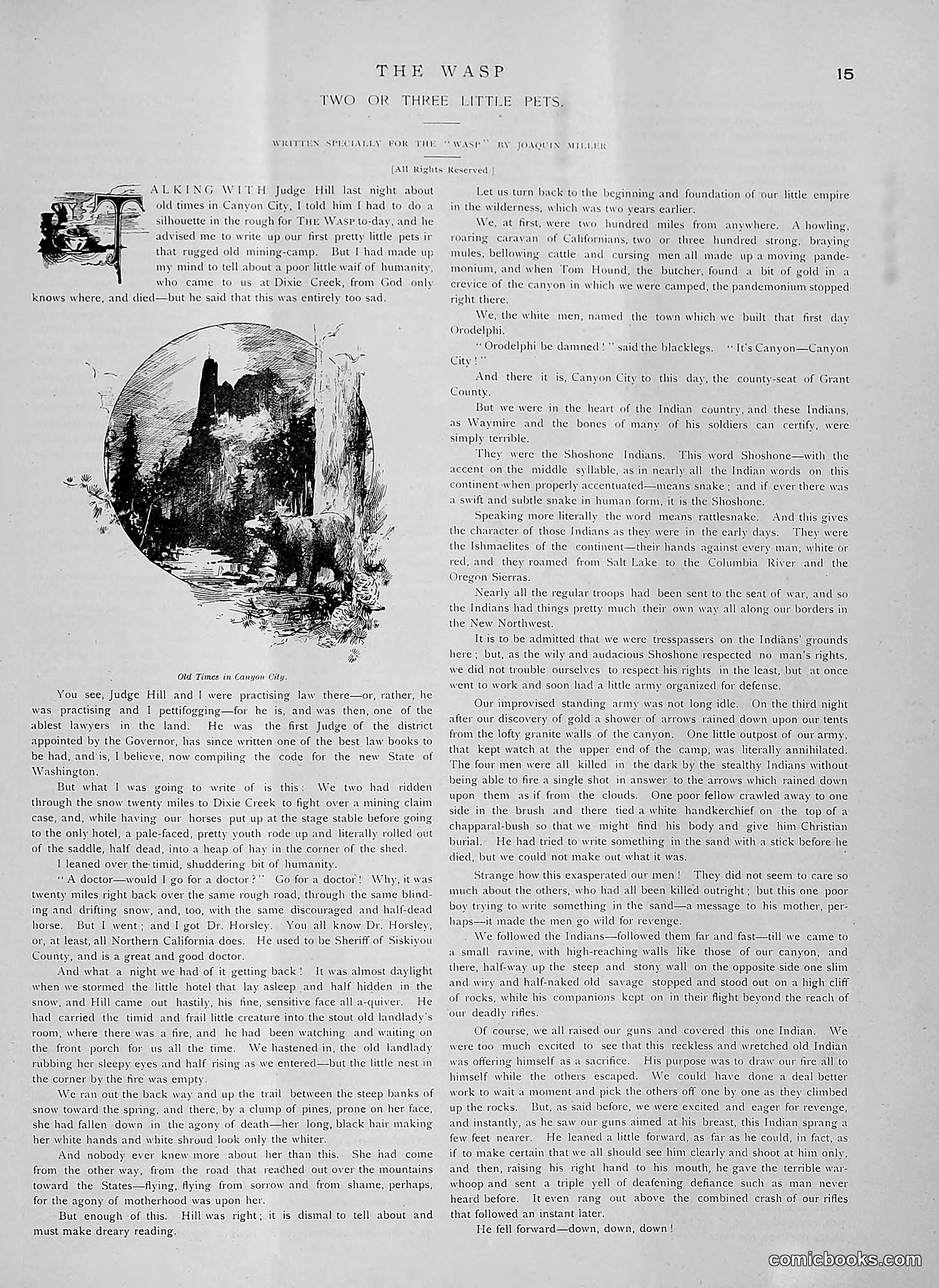 The Wasp — 1891 — page 80 of 612