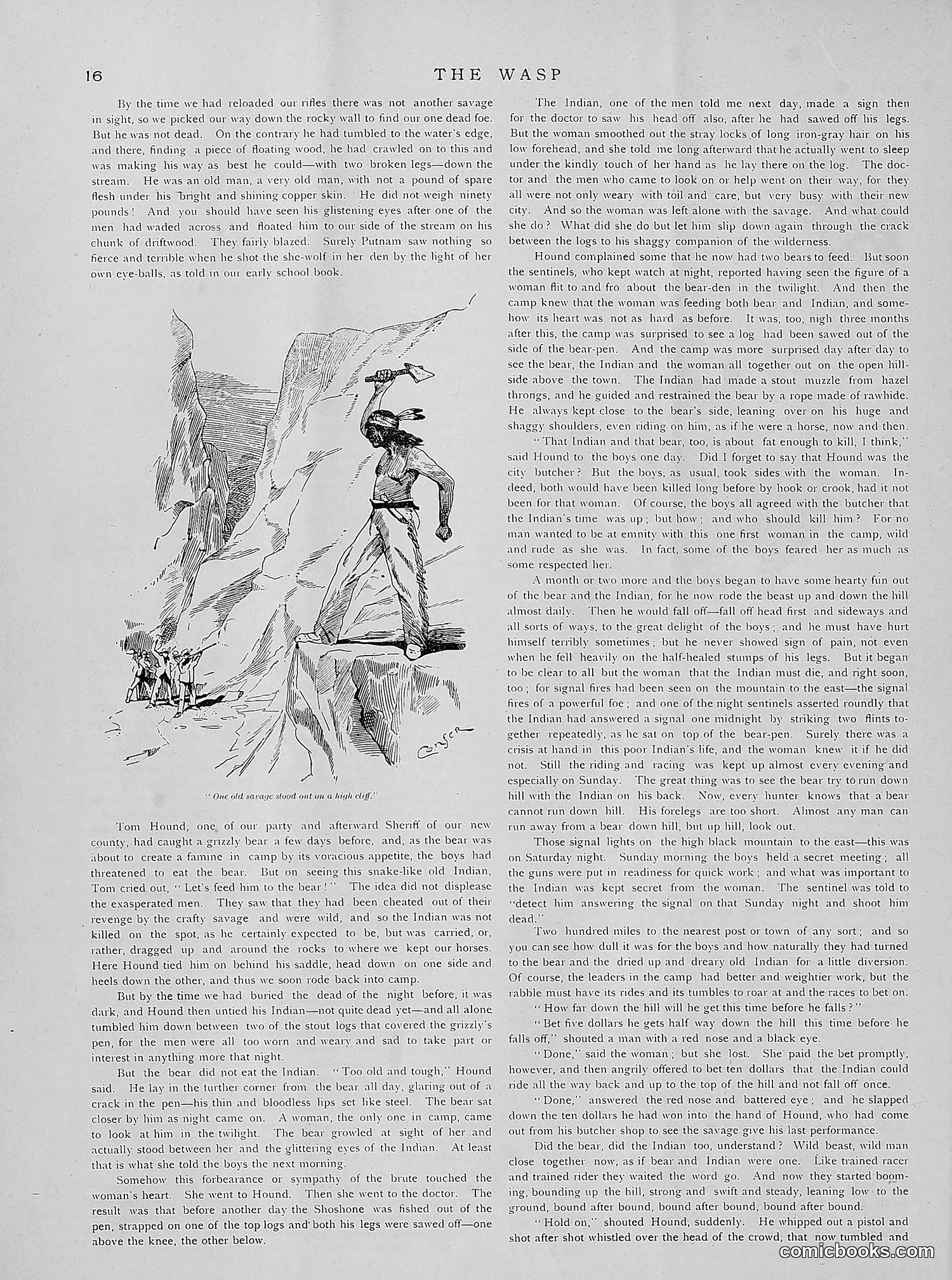 The Wasp — 1891 — page 81 of 612