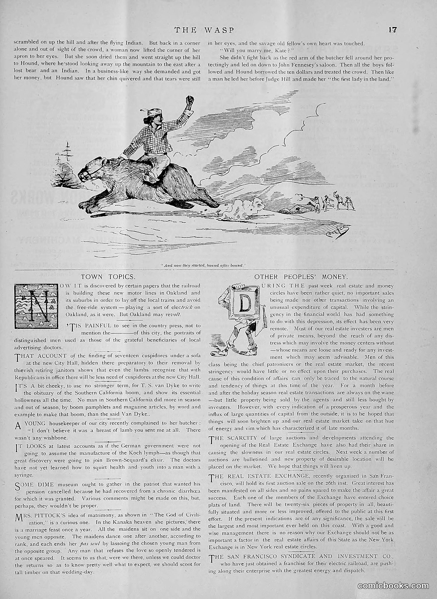 The Wasp — 1891 — page 82 of 612