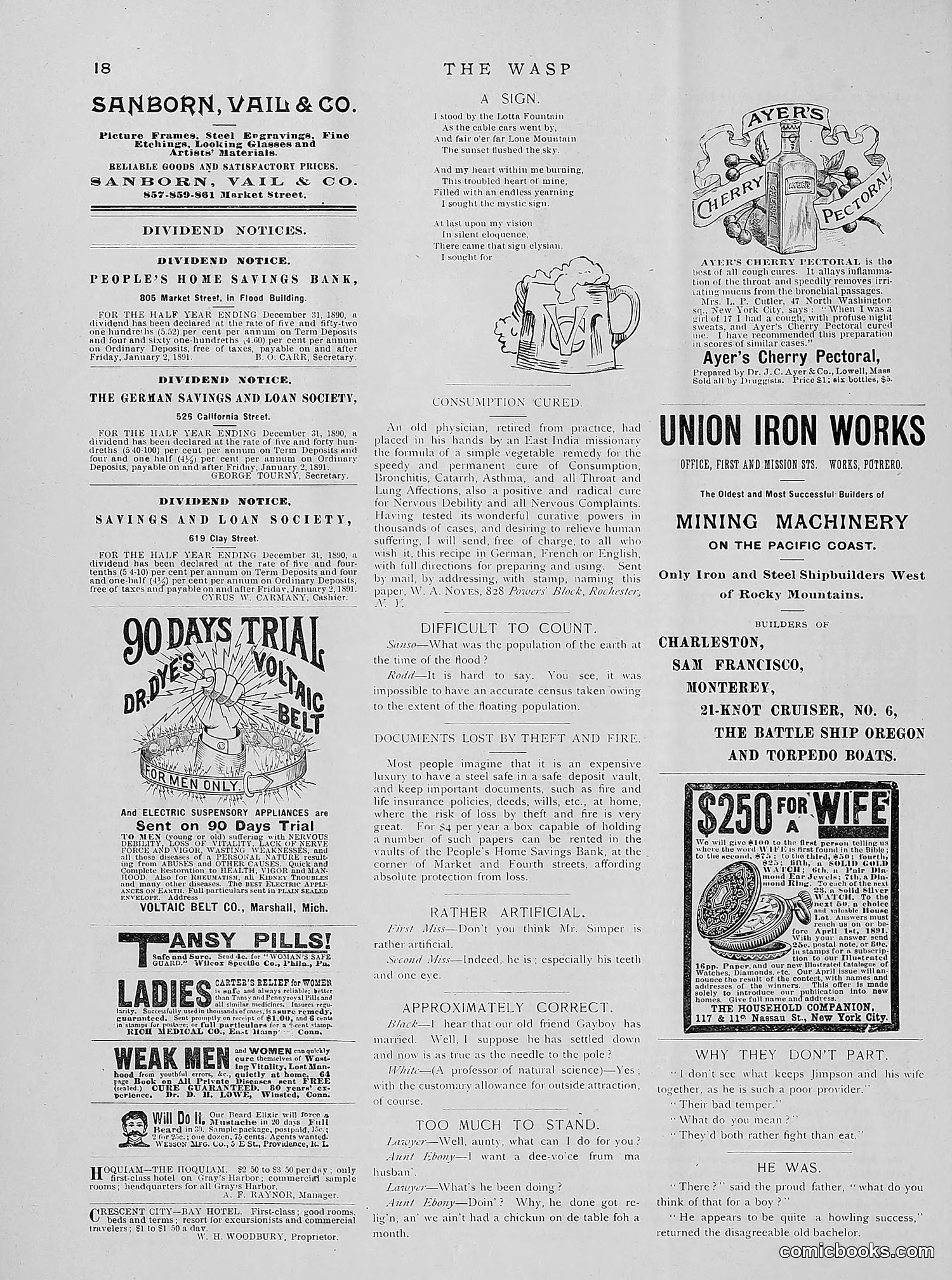 The Wasp — 1891 — page 83 of 612