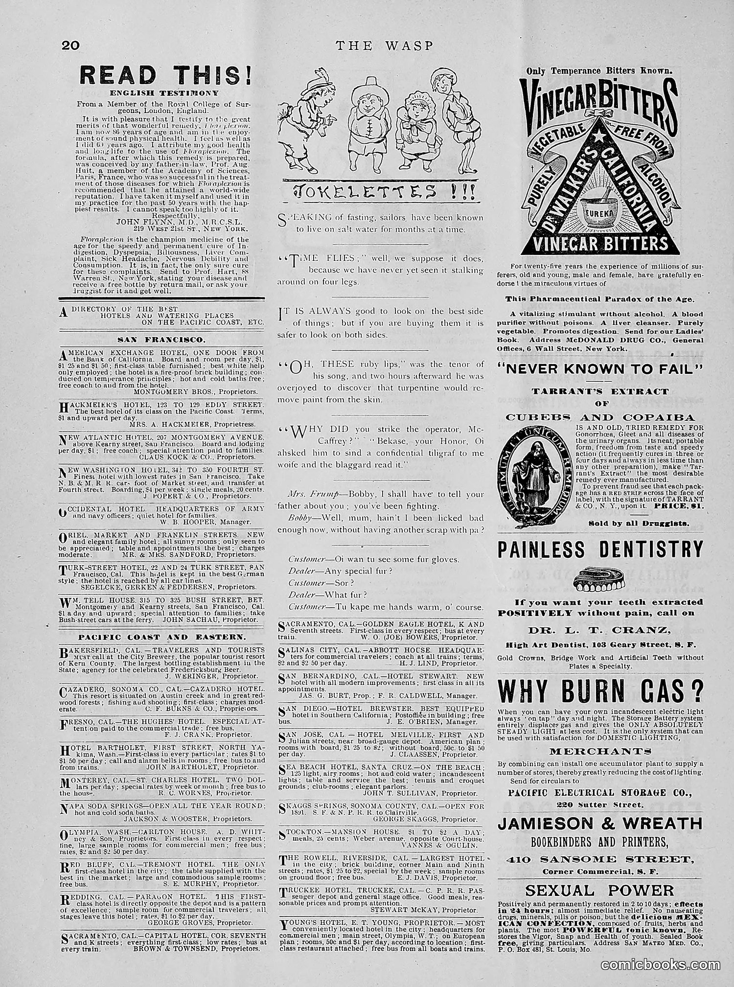 The Wasp — 1891 — page 85 of 612