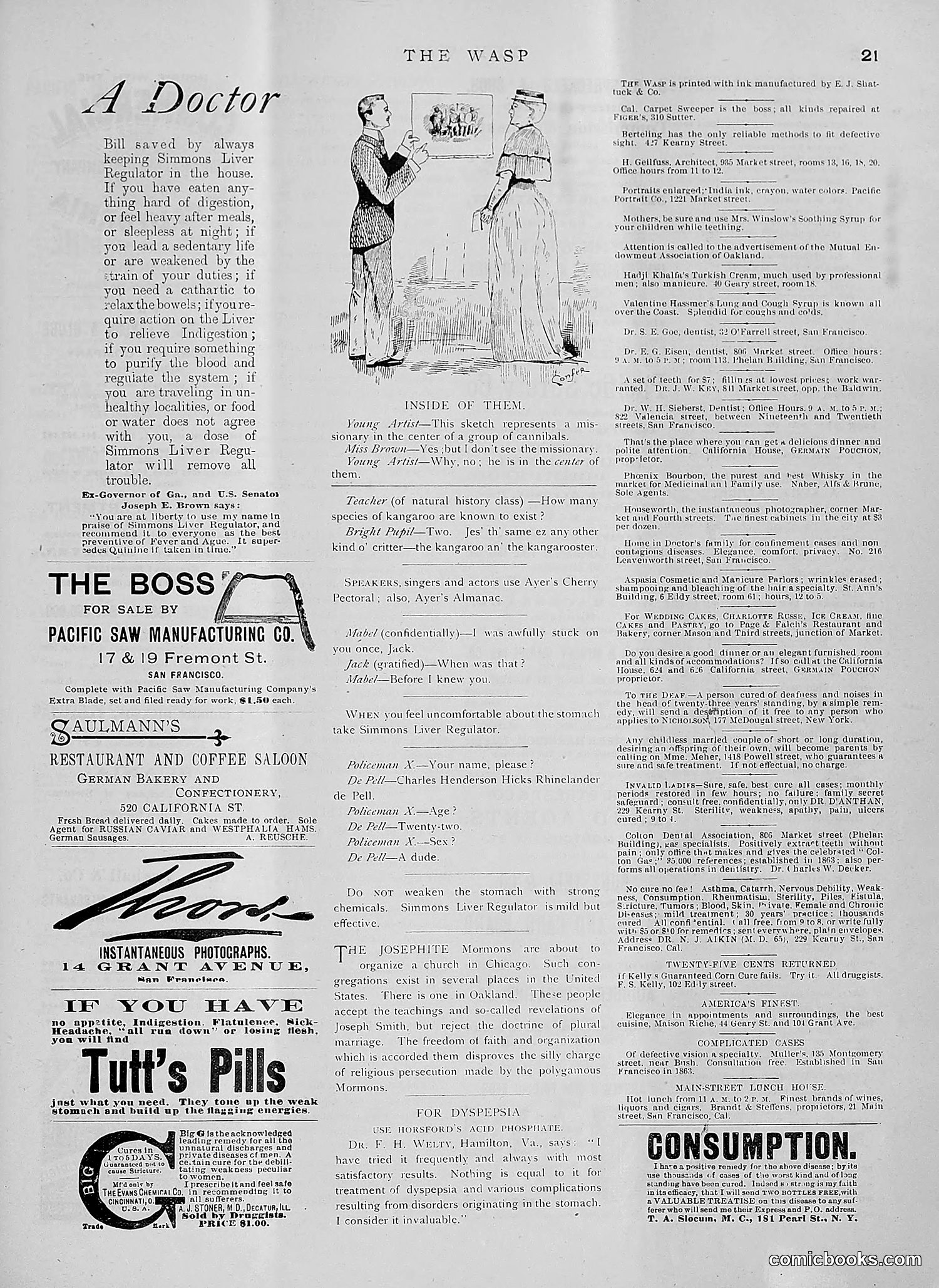 The Wasp — 1891 — page 86 of 612