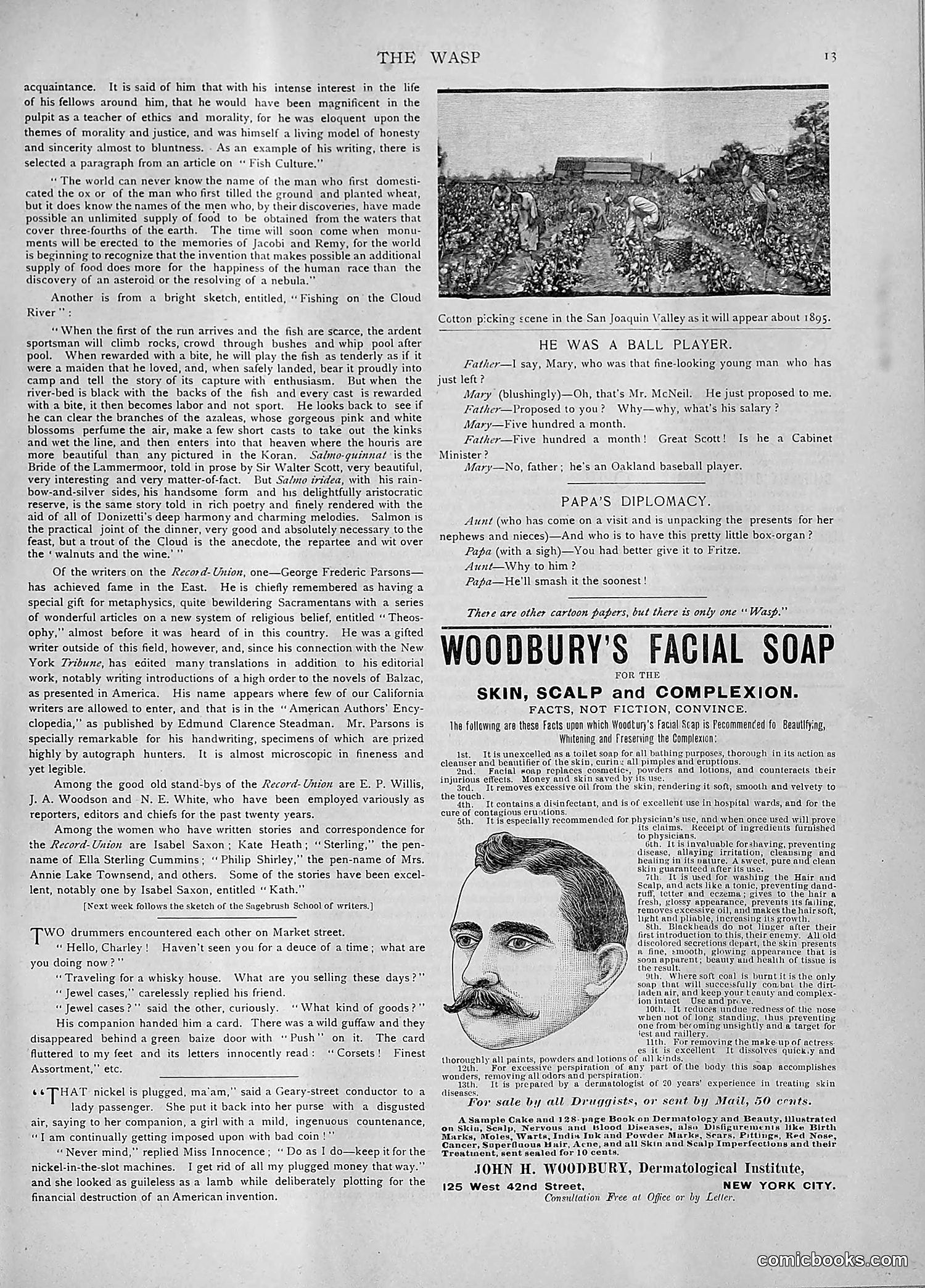The Wasp — 1892 — page 104 of 542